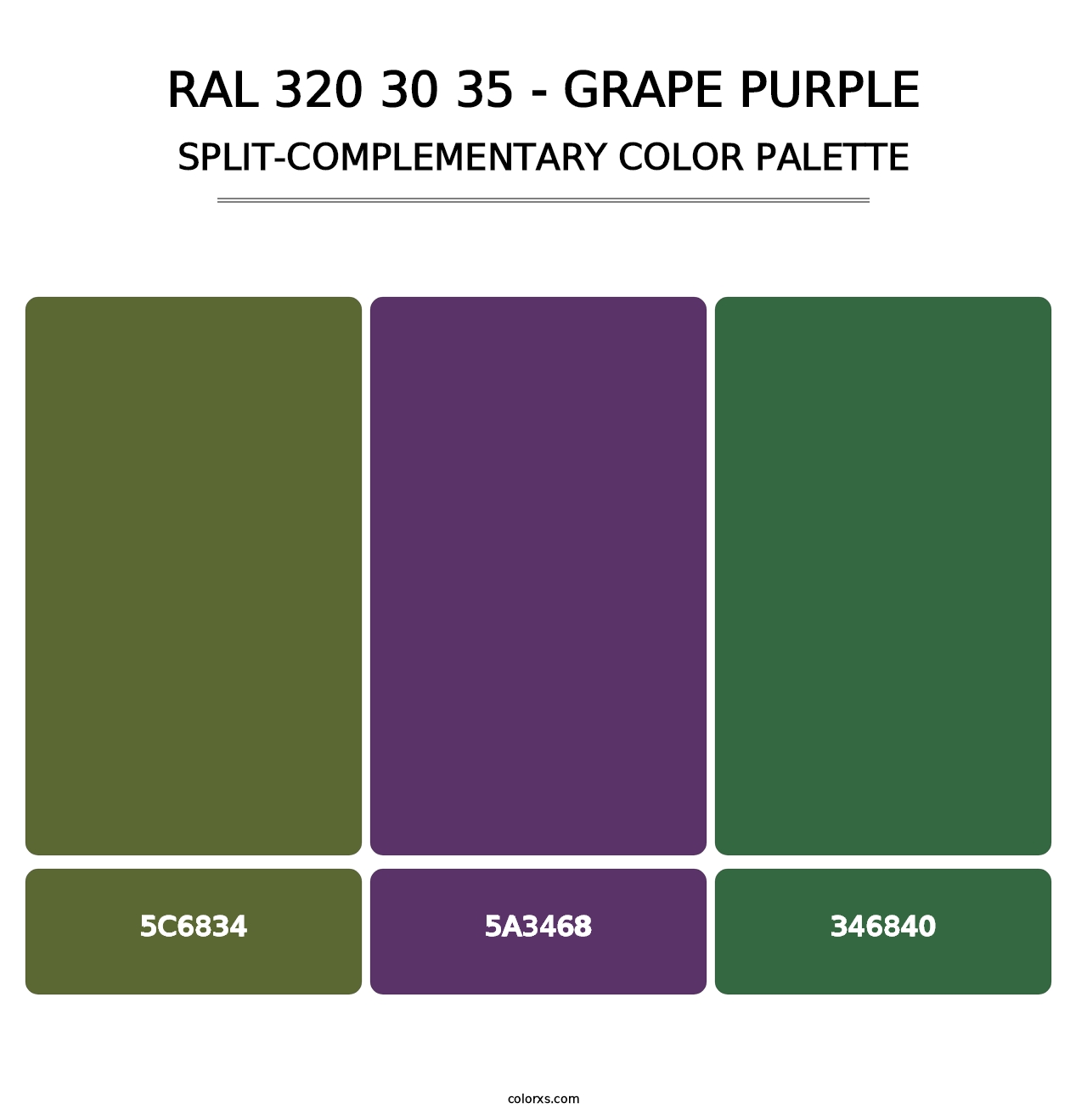 RAL 320 30 35 - Grape Purple - Split-Complementary Color Palette