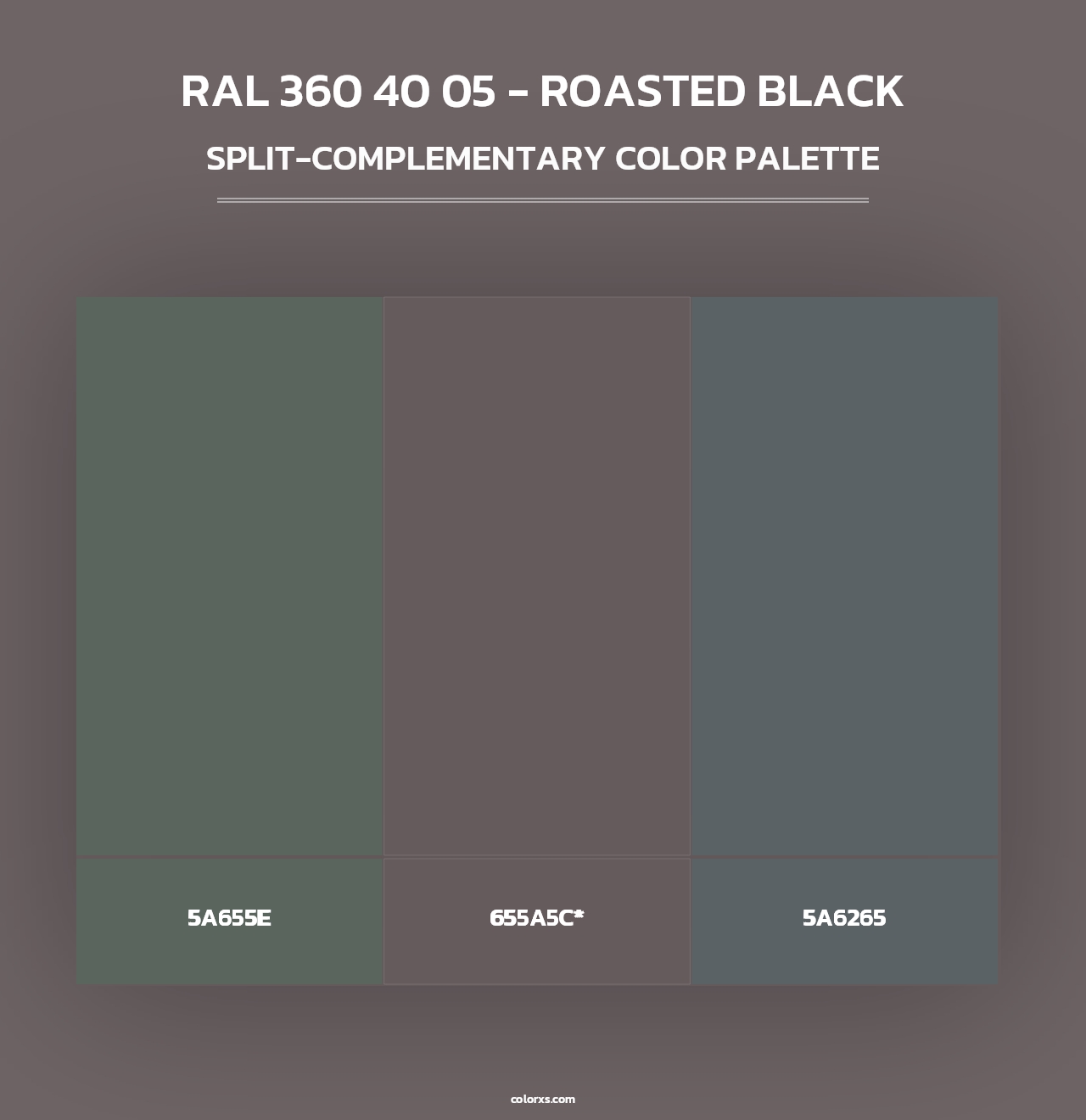 RAL 360 40 05 - Roasted Black - Split-Complementary Color Palette