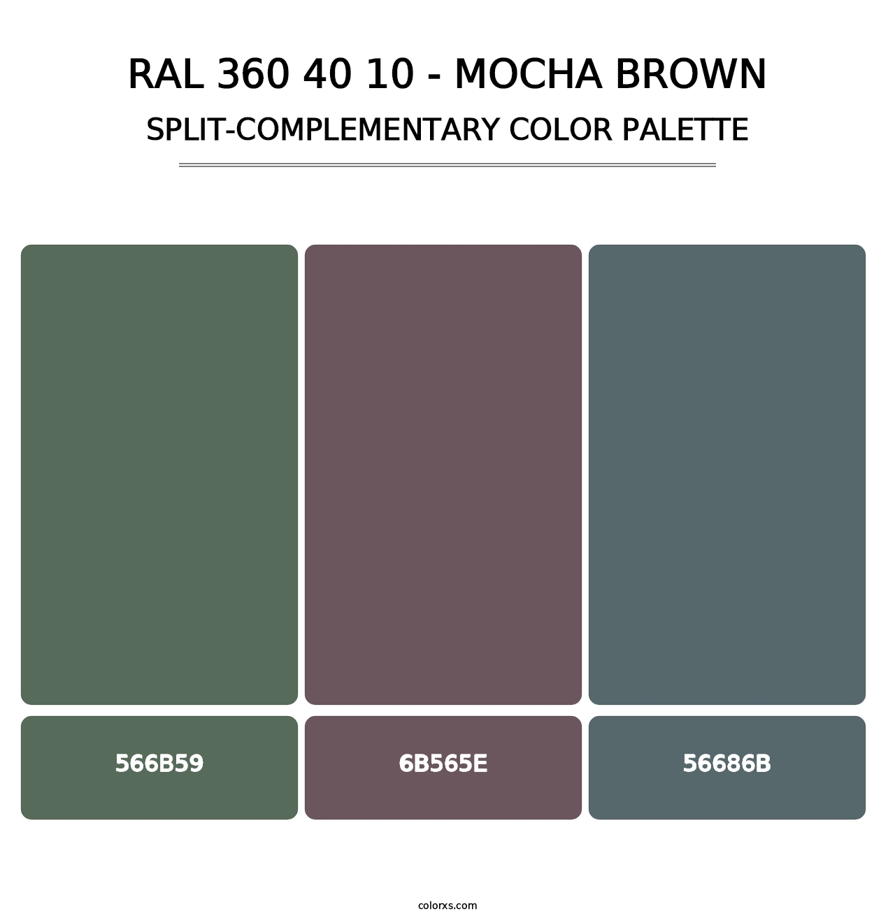 RAL 360 40 10 - Mocha Brown - Split-Complementary Color Palette