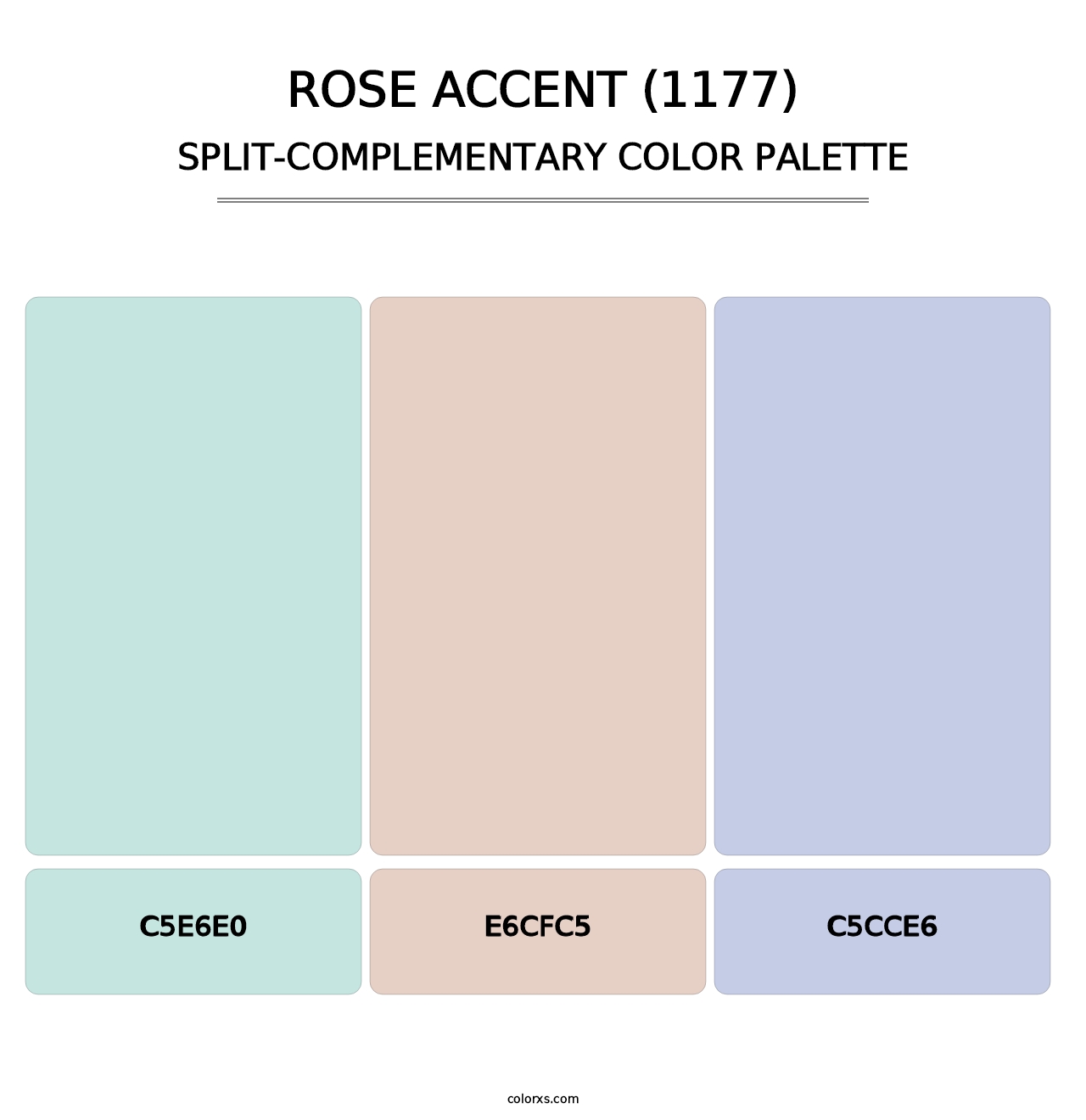 Rose Accent (1177) - Split-Complementary Color Palette