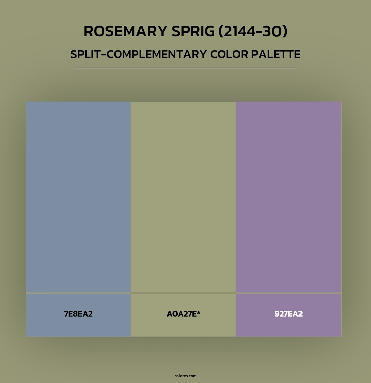 Rosemary Sprig (2144-30) - Split-Complementary Color Palette