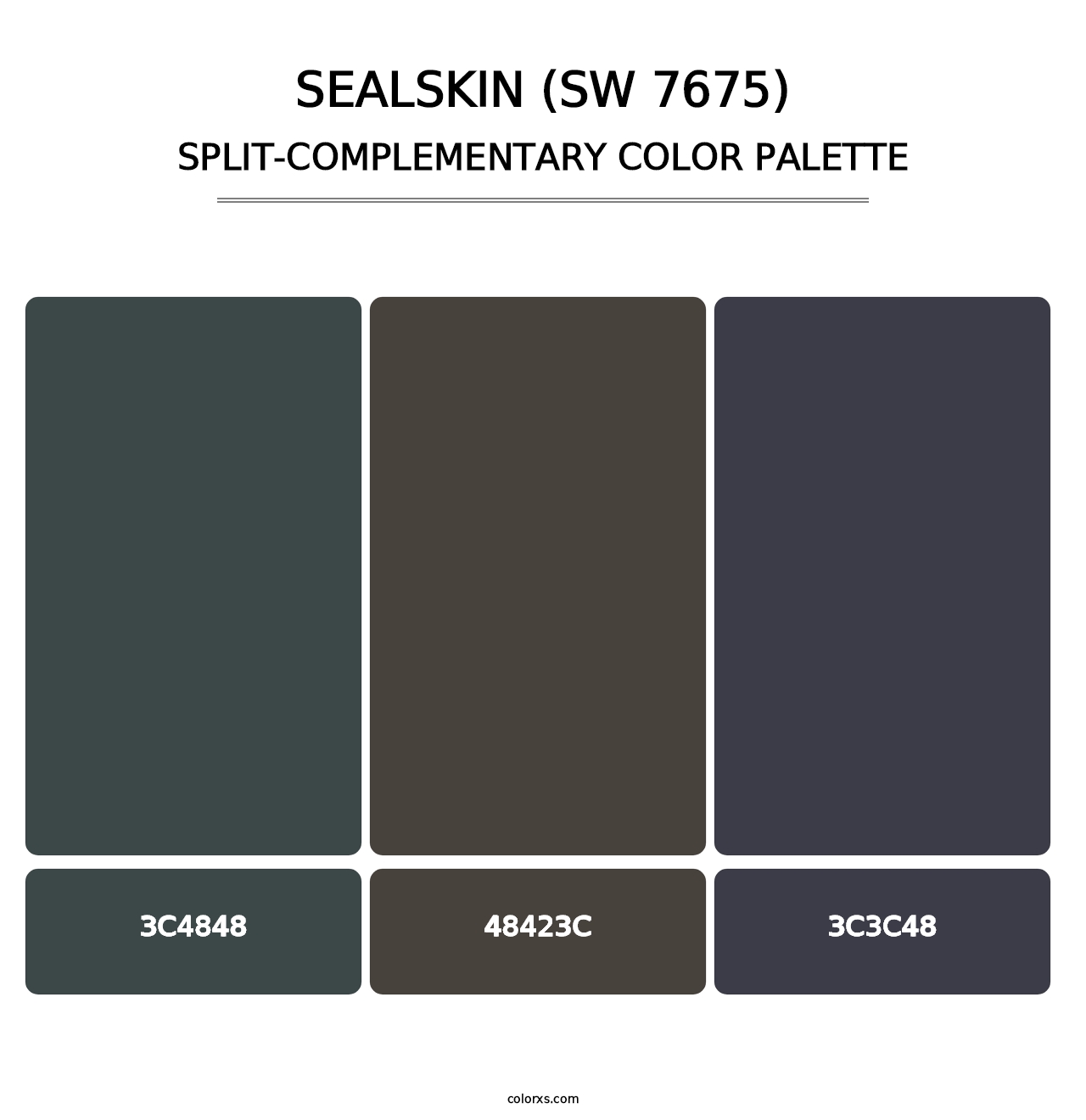 Sealskin (SW 7675) - Split-Complementary Color Palette