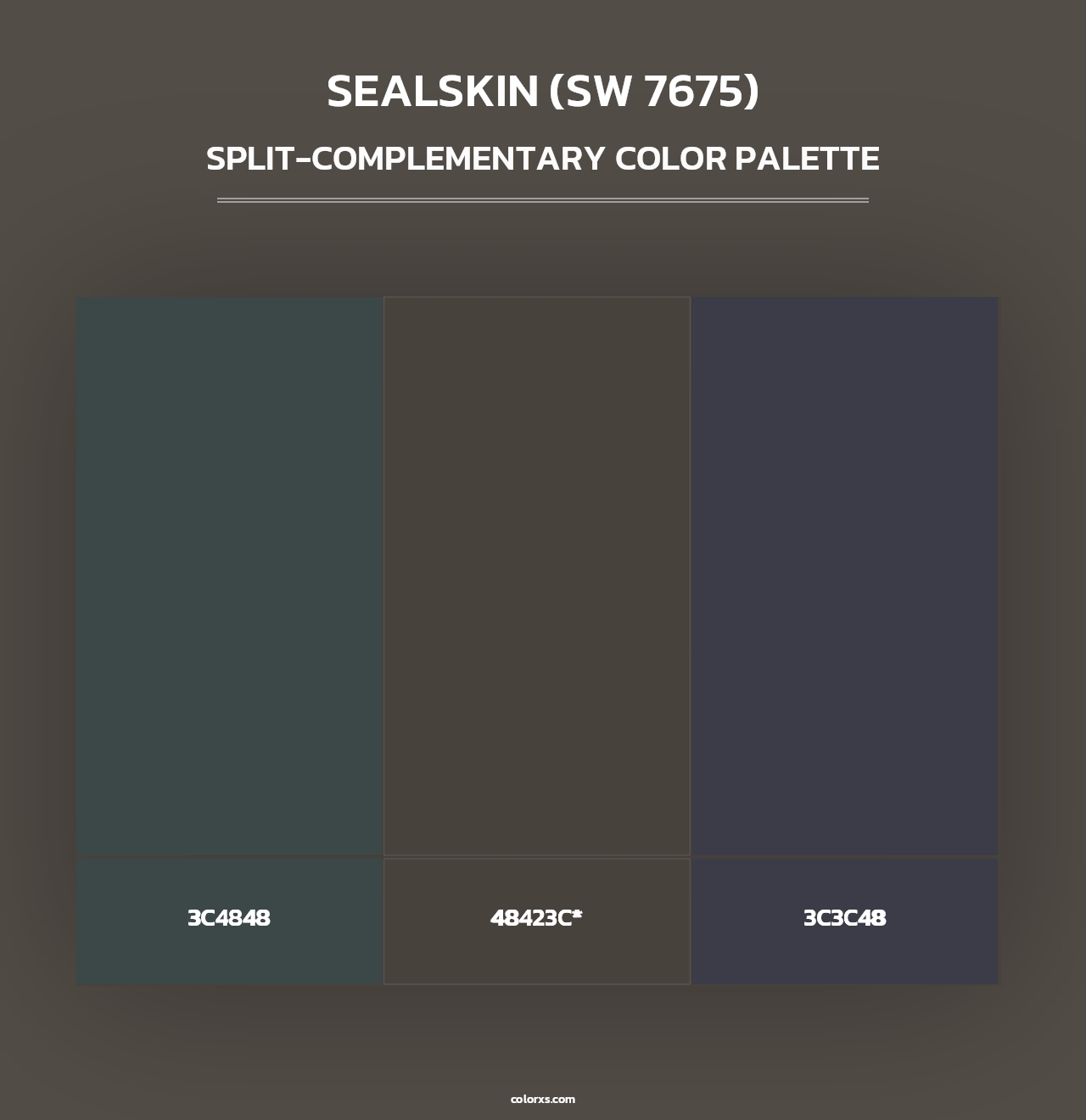 Sealskin (SW 7675) - Split-Complementary Color Palette