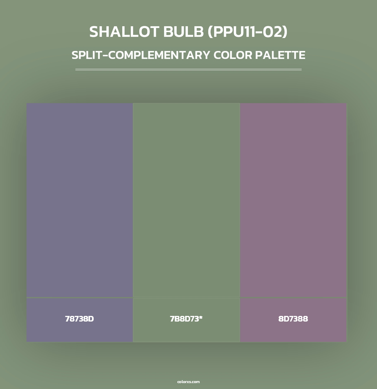 Shallot Bulb (PPU11-02) - Split-Complementary Color Palette