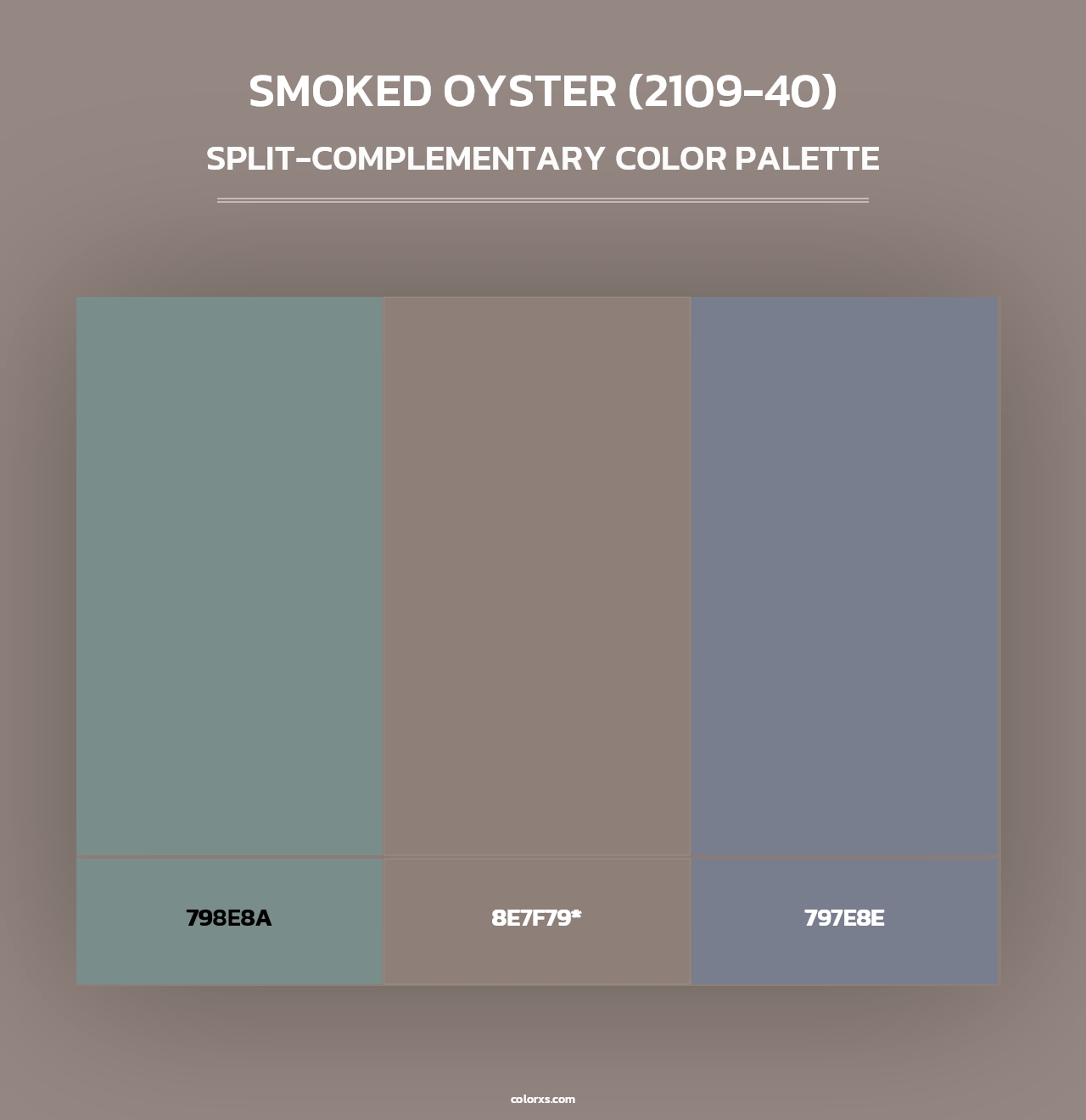 Smoked Oyster (2109-40) - Split-Complementary Color Palette