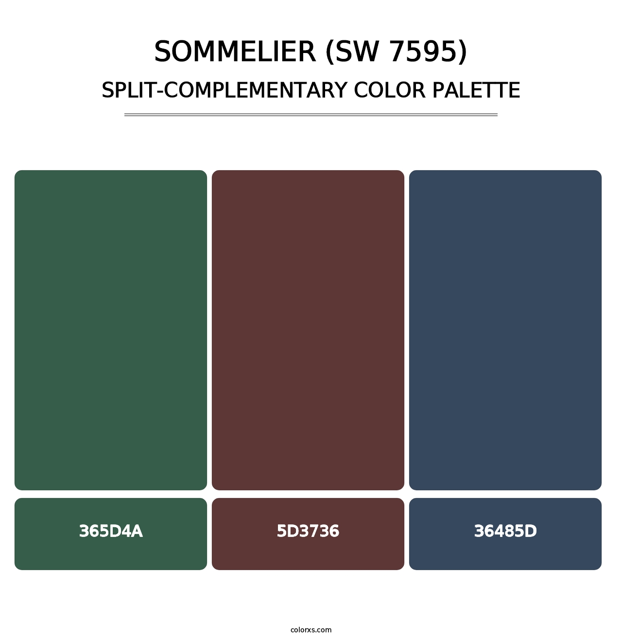 Sommelier (SW 7595) - Split-Complementary Color Palette