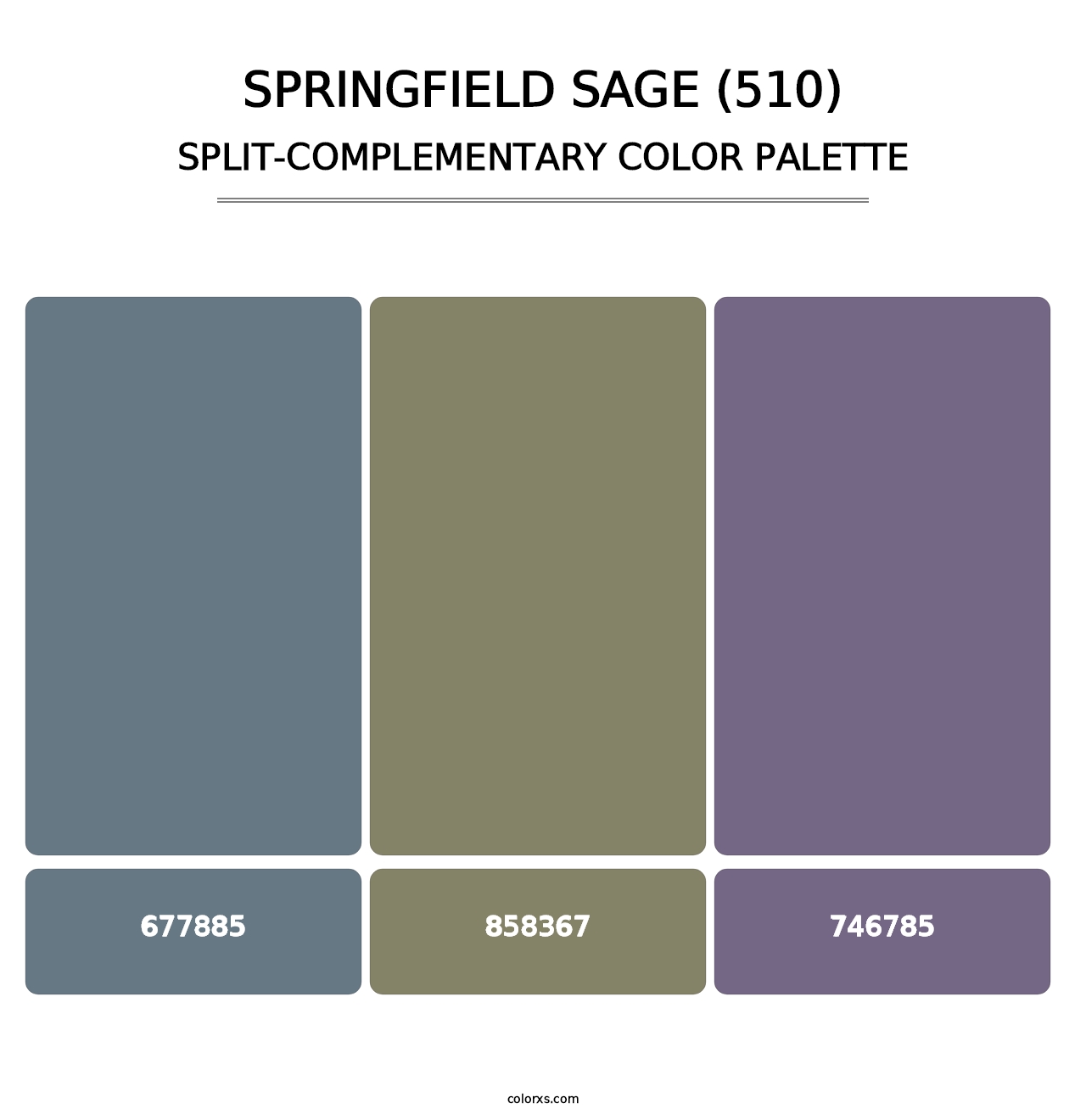 Springfield Sage (510) - Split-Complementary Color Palette