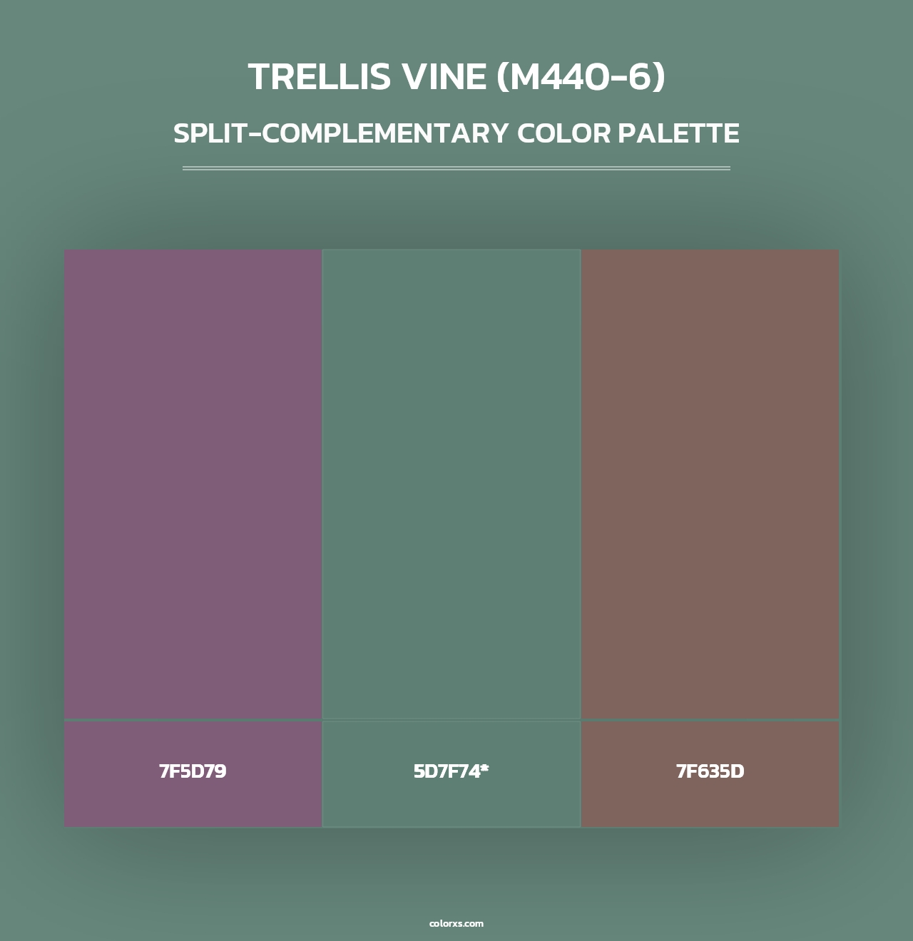 Trellis Vine (M440-6) - Split-Complementary Color Palette
