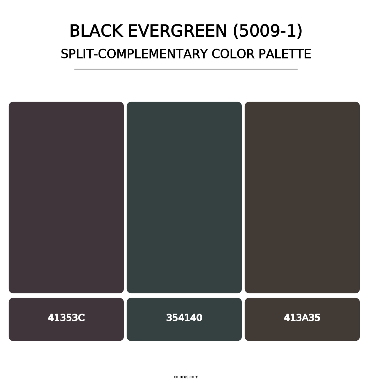 Black Evergreen (5009-1) - Split-Complementary Color Palette