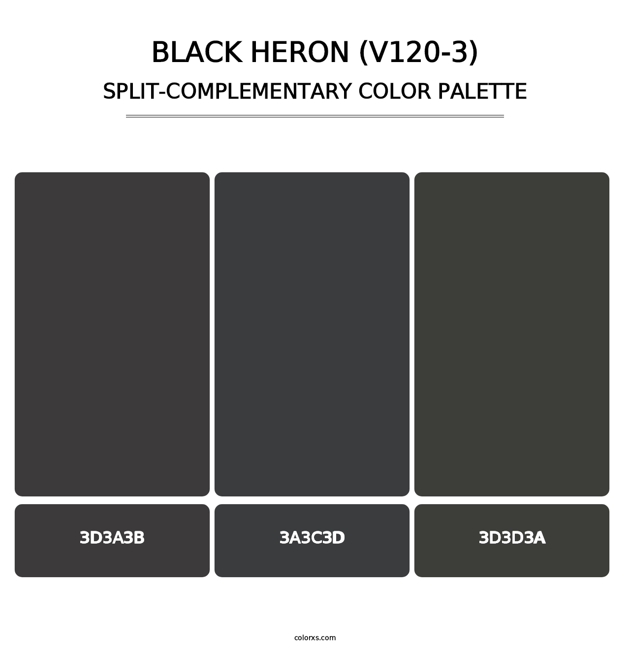 Black Heron (V120-3) - Split-Complementary Color Palette