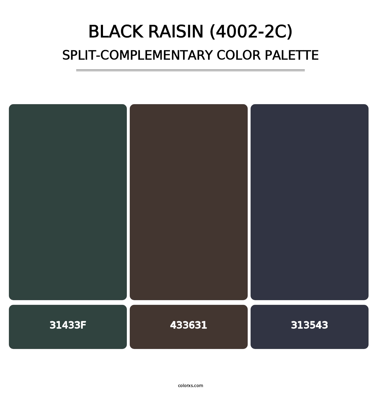 Black Raisin (4002-2C) - Split-Complementary Color Palette