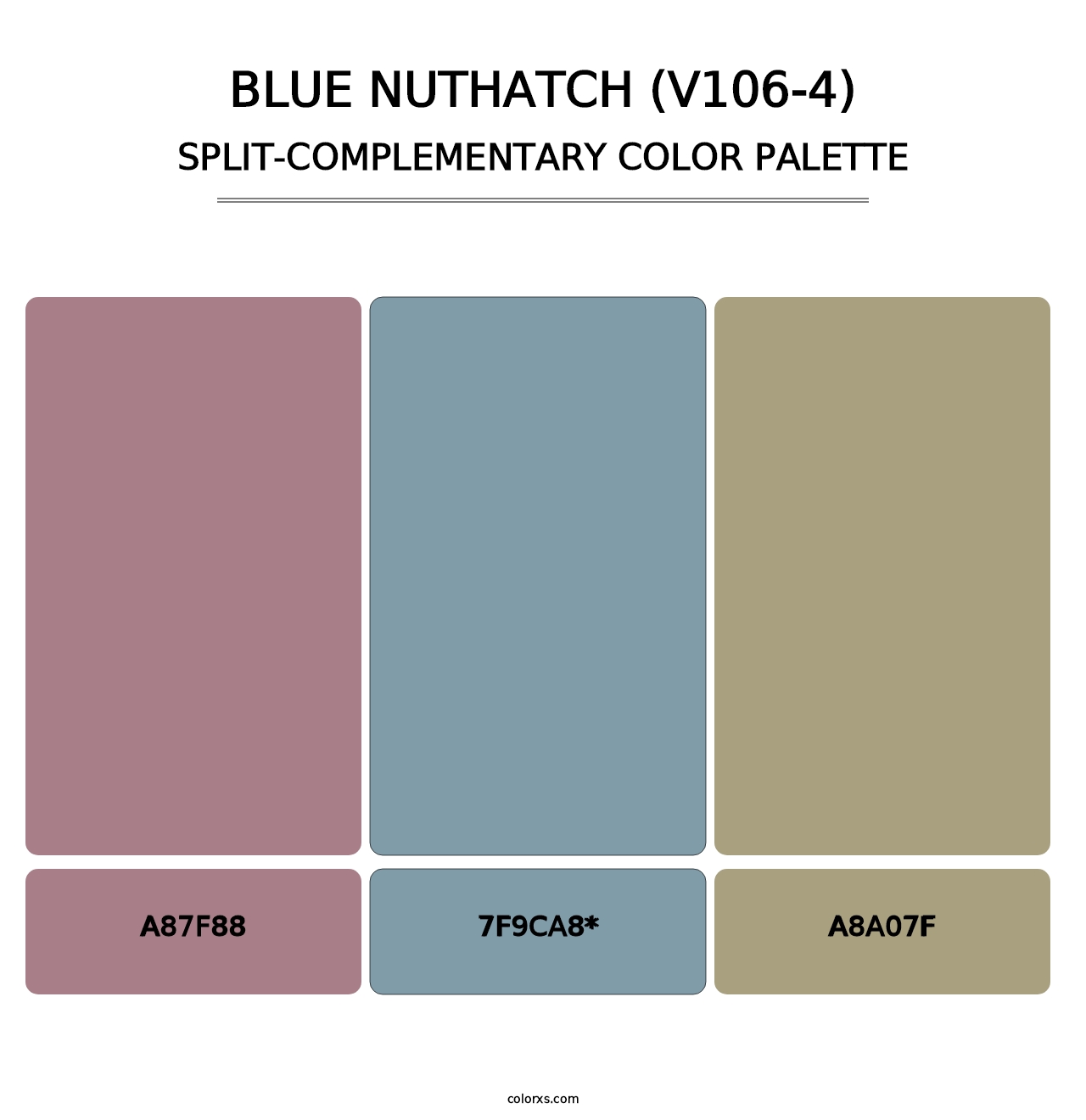 Blue Nuthatch (V106-4) - Split-Complementary Color Palette