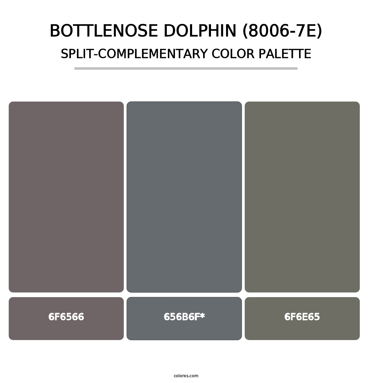 Bottlenose Dolphin (8006-7E) - Split-Complementary Color Palette