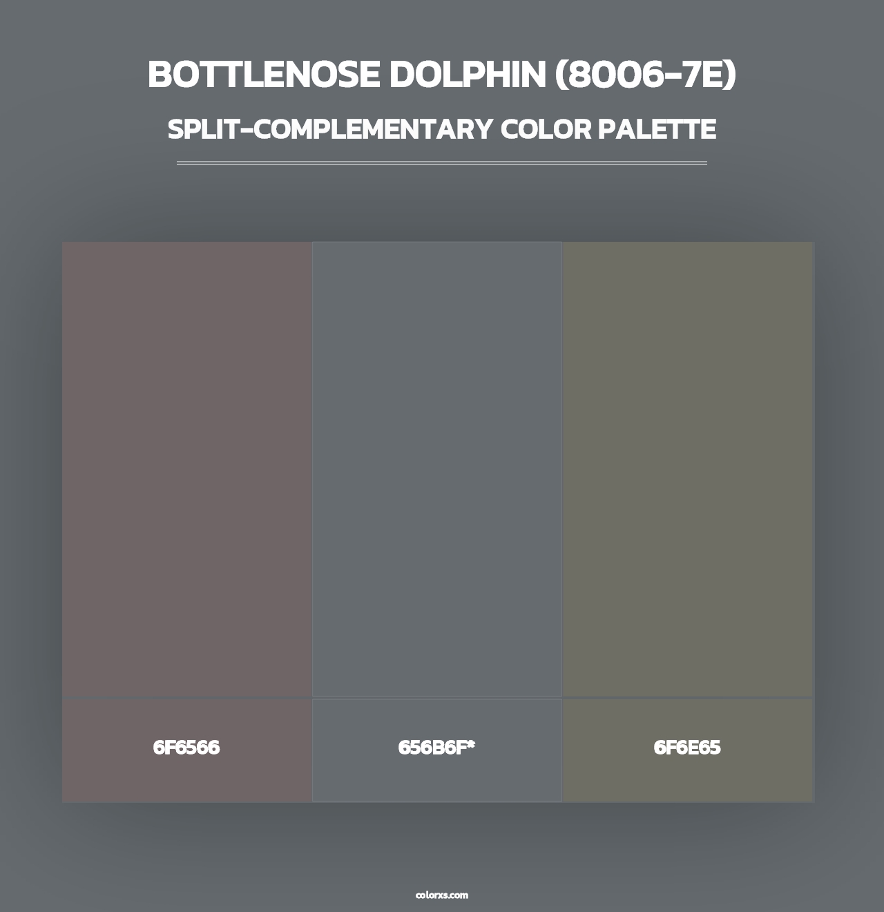 Bottlenose Dolphin (8006-7E) - Split-Complementary Color Palette