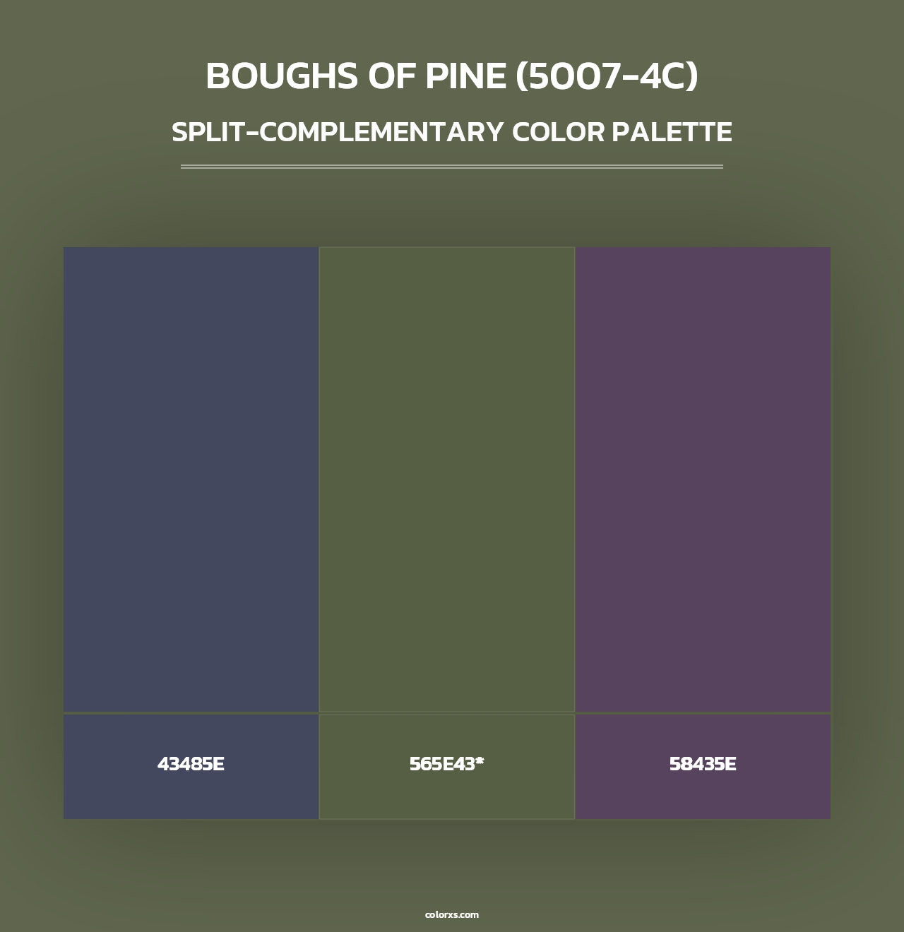 Boughs of Pine (5007-4C) - Split-Complementary Color Palette