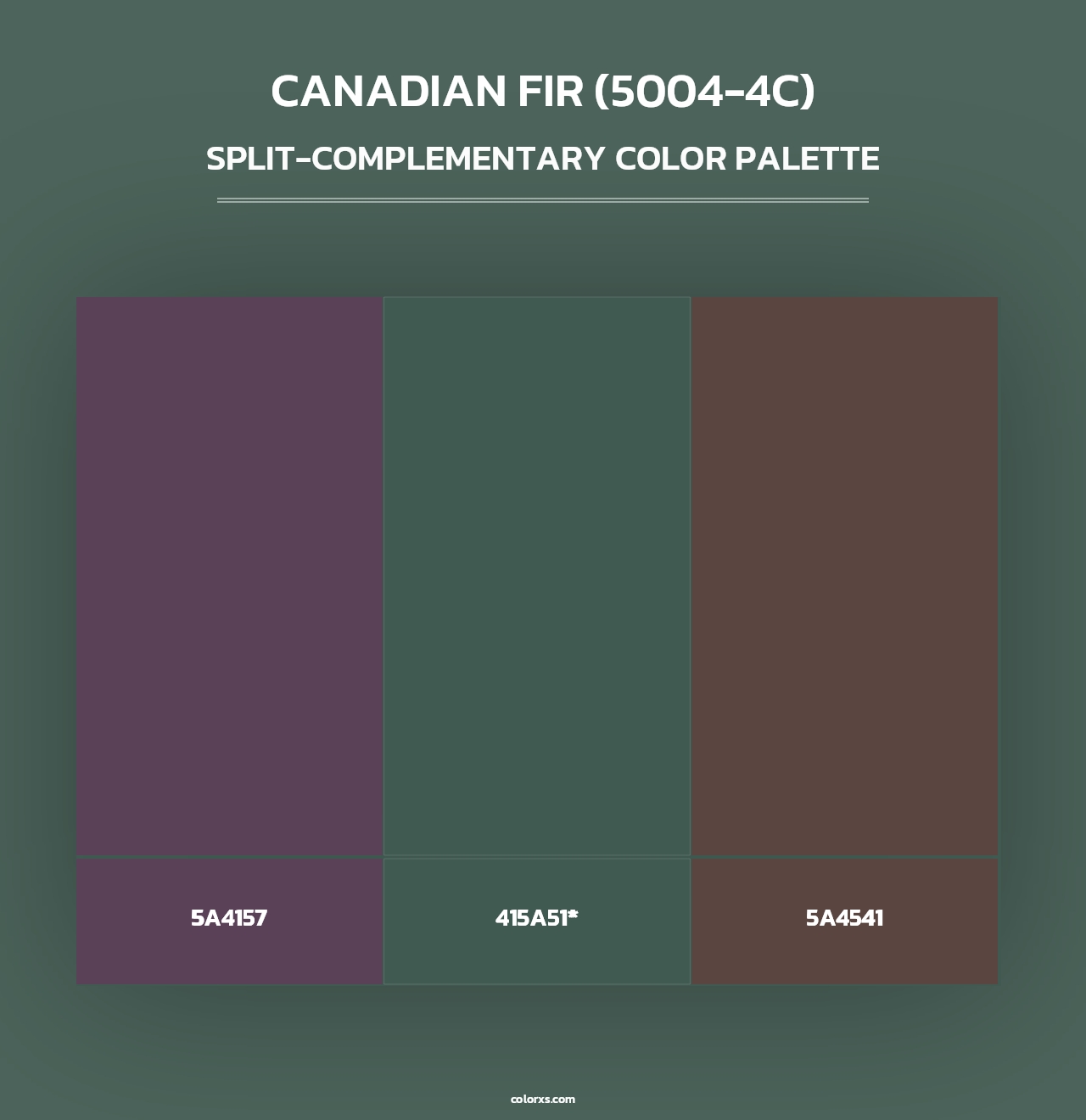 Canadian Fir (5004-4C) - Split-Complementary Color Palette