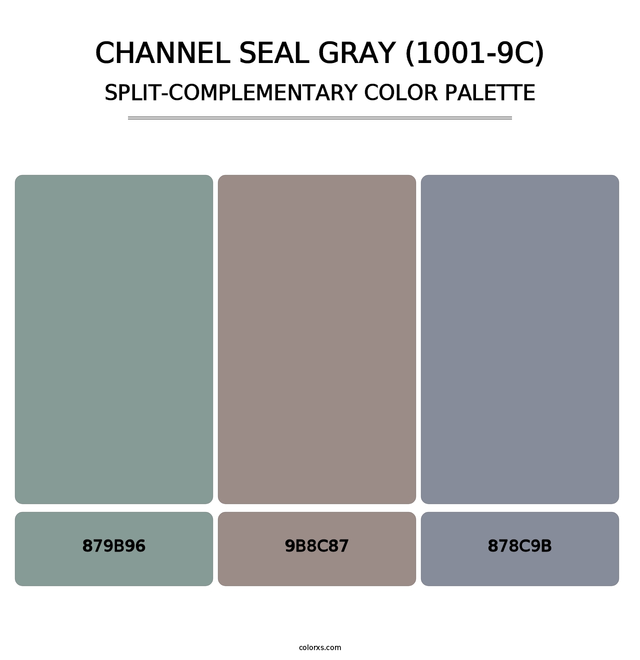Channel Seal Gray (1001-9C) - Split-Complementary Color Palette