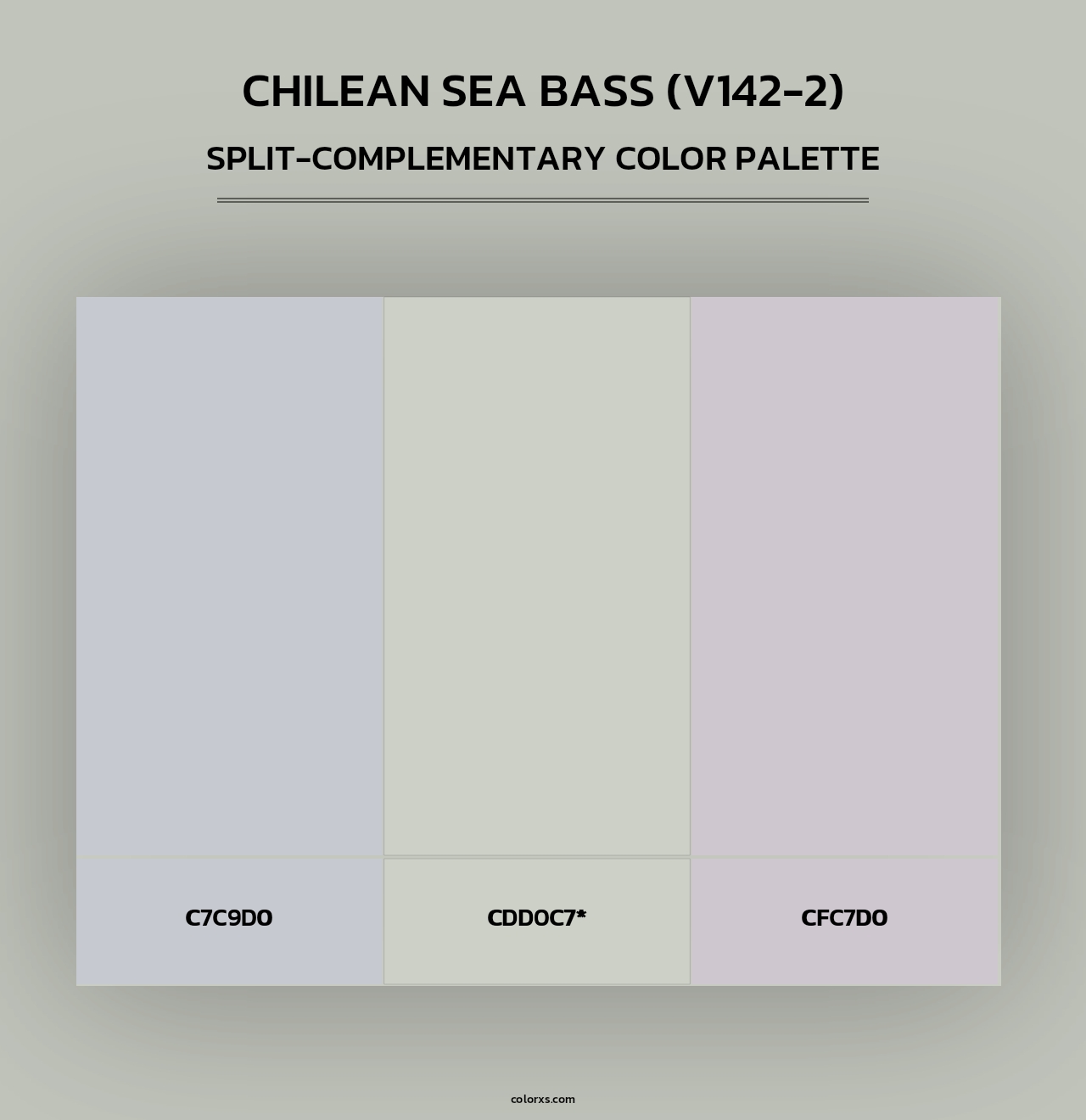 Chilean Sea Bass (V142-2) - Split-Complementary Color Palette