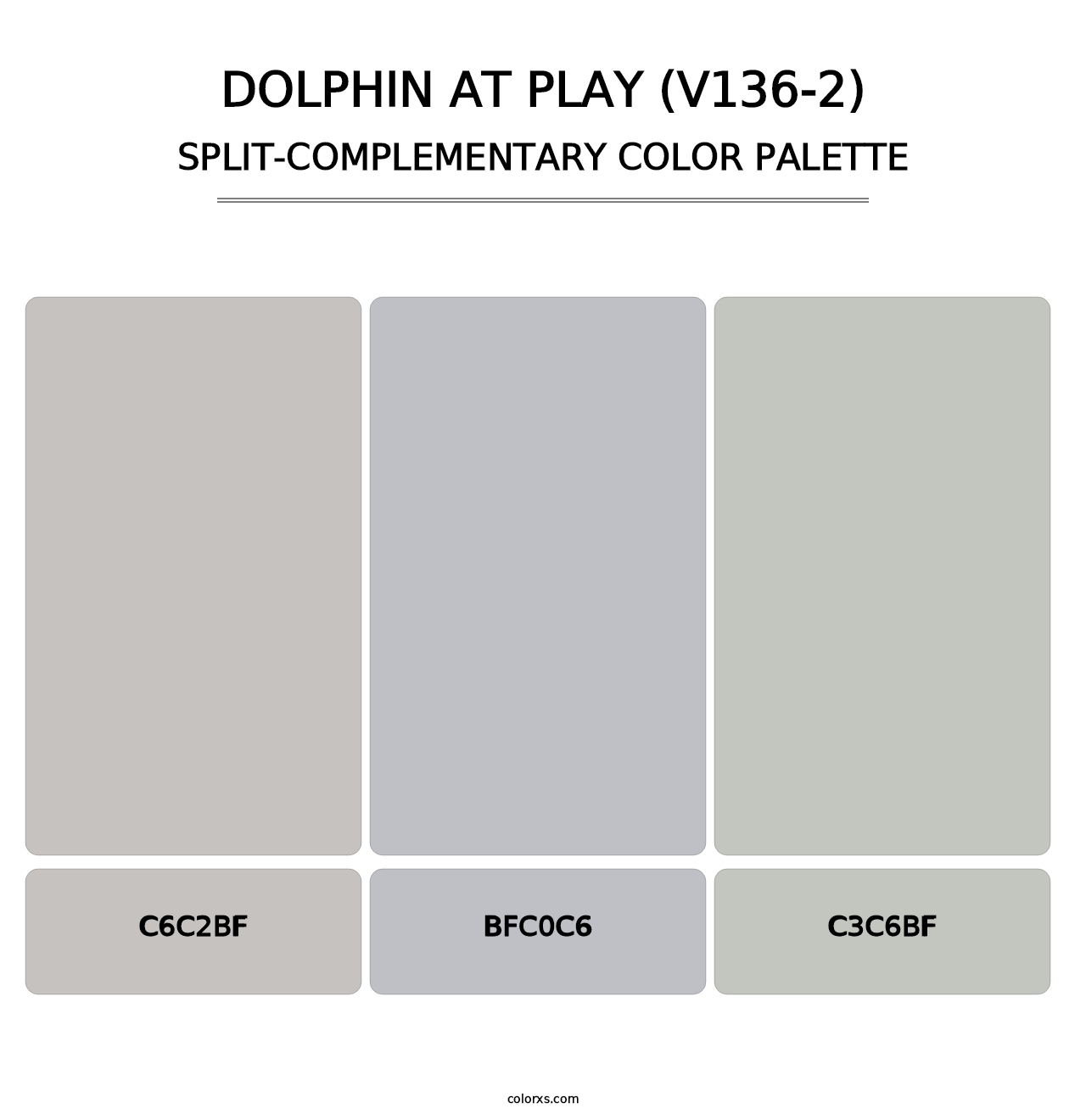 Dolphin at Play (V136-2) - Split-Complementary Color Palette