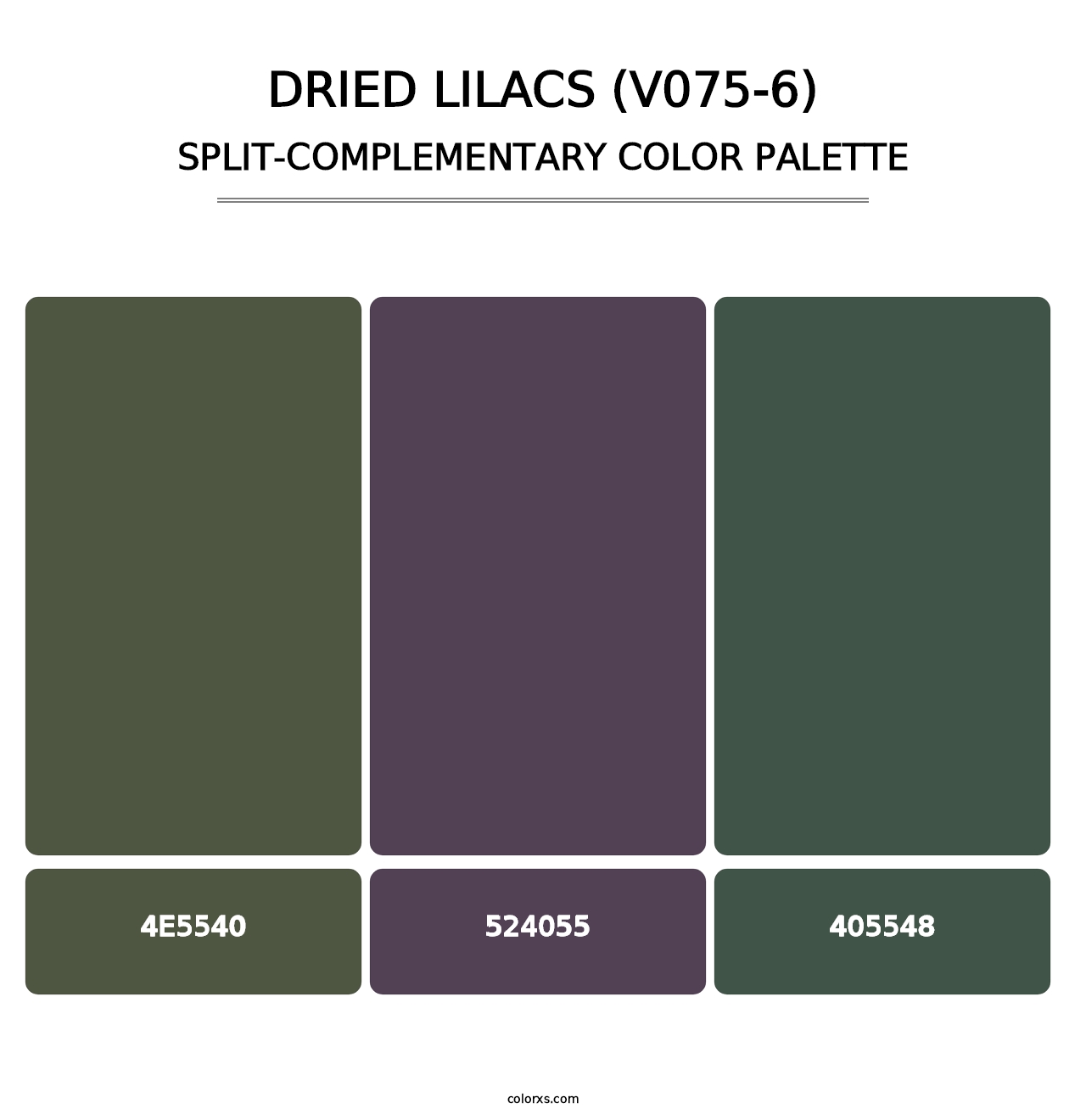 Dried Lilacs (V075-6) - Split-Complementary Color Palette
