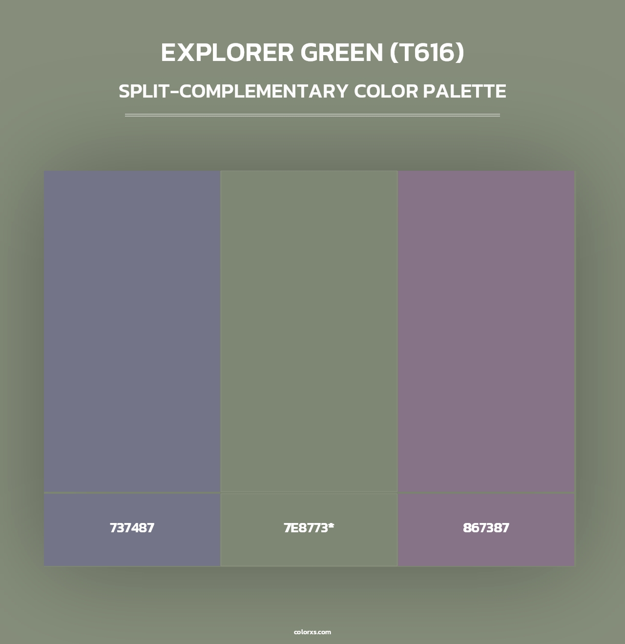 Explorer Green (T616) - Split-Complementary Color Palette