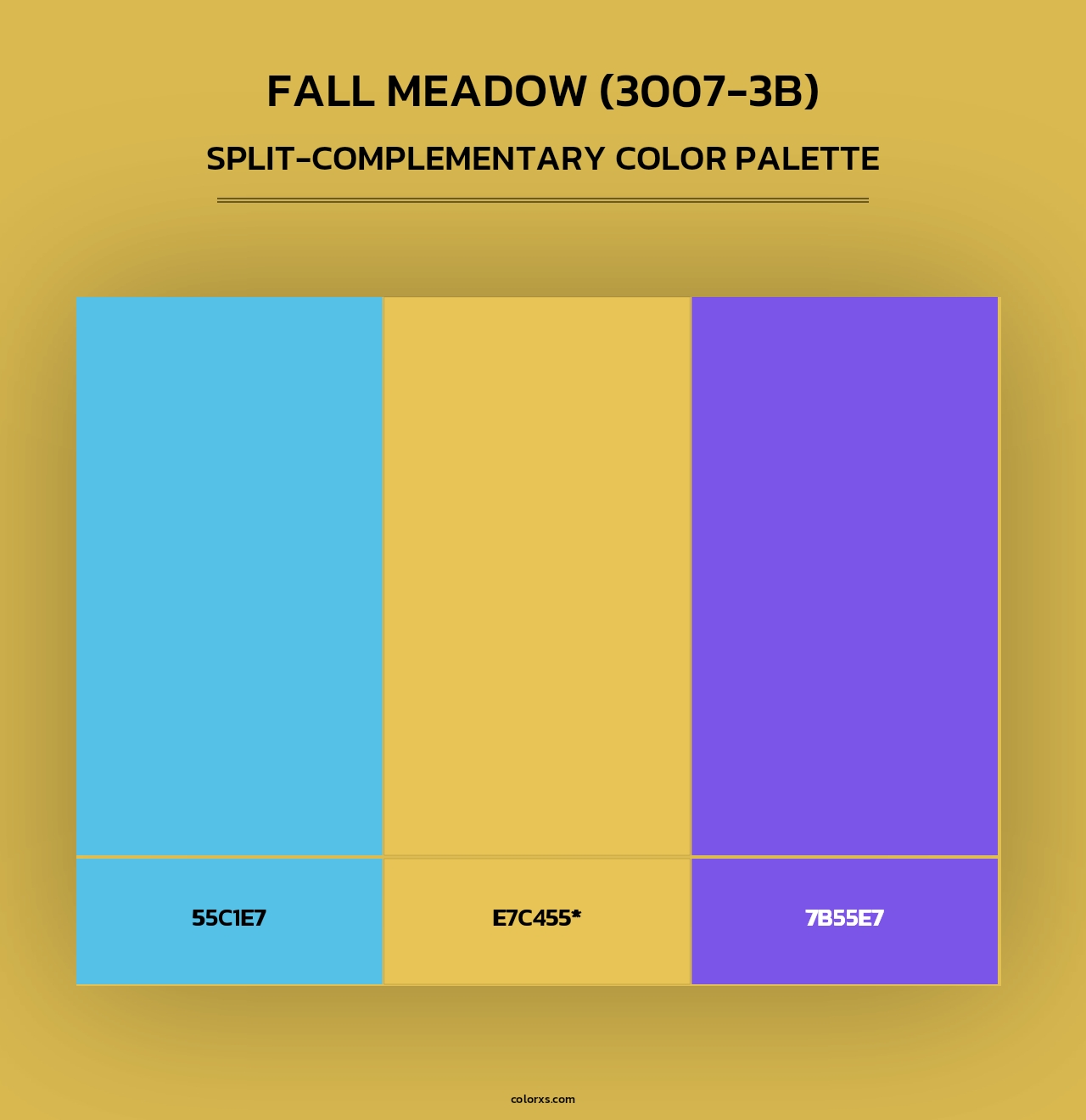 Fall Meadow (3007-3B) - Split-Complementary Color Palette