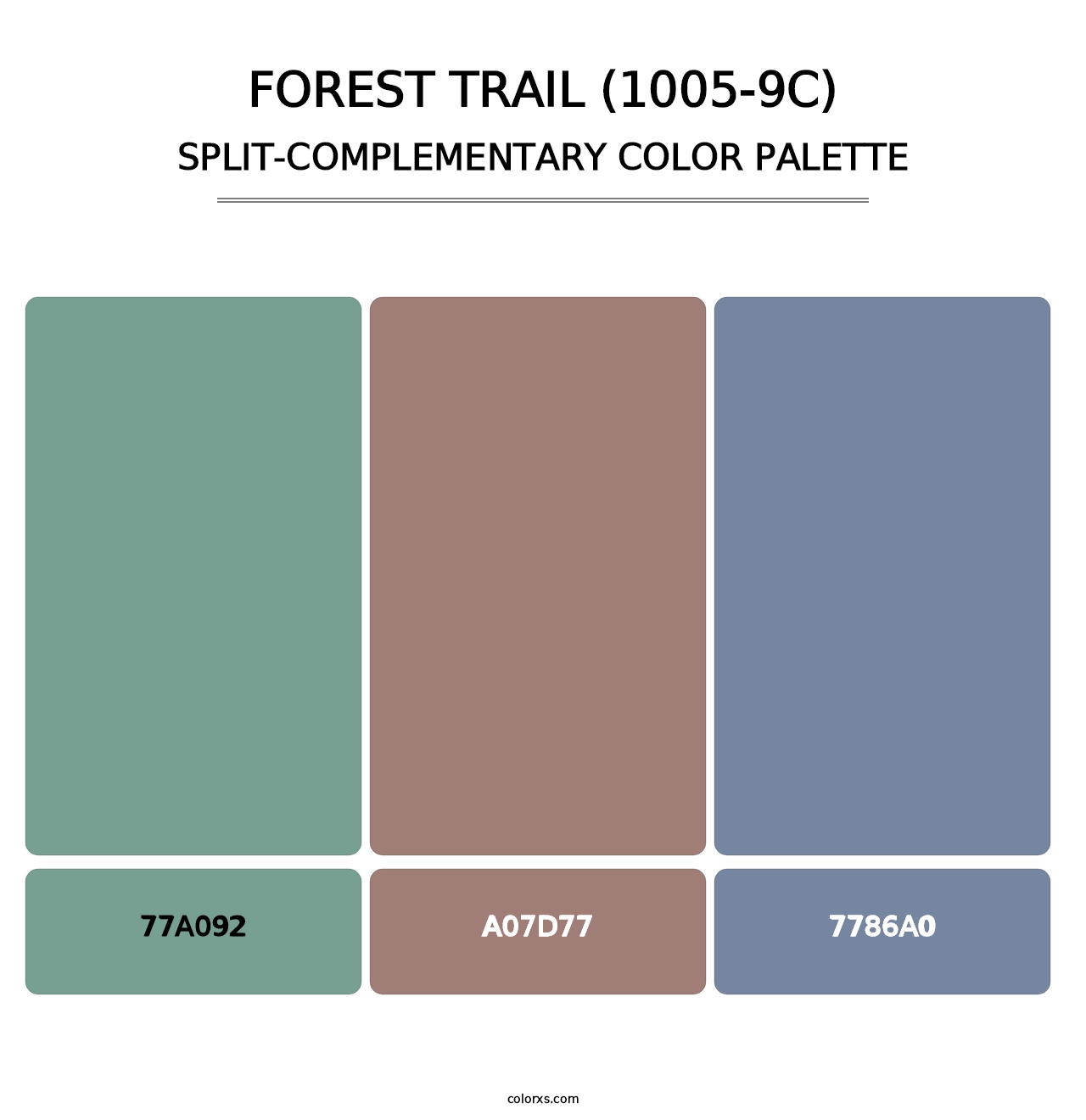 Forest Trail (1005-9C) - Split-Complementary Color Palette