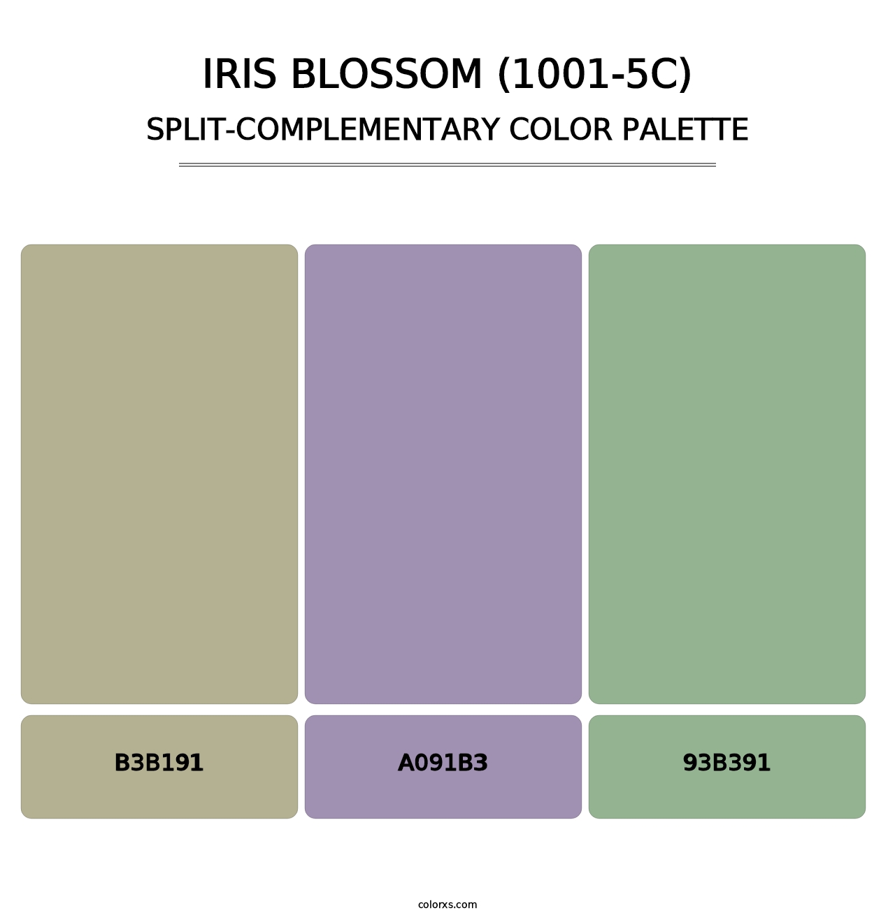 Iris Blossom (1001-5C) - Split-Complementary Color Palette