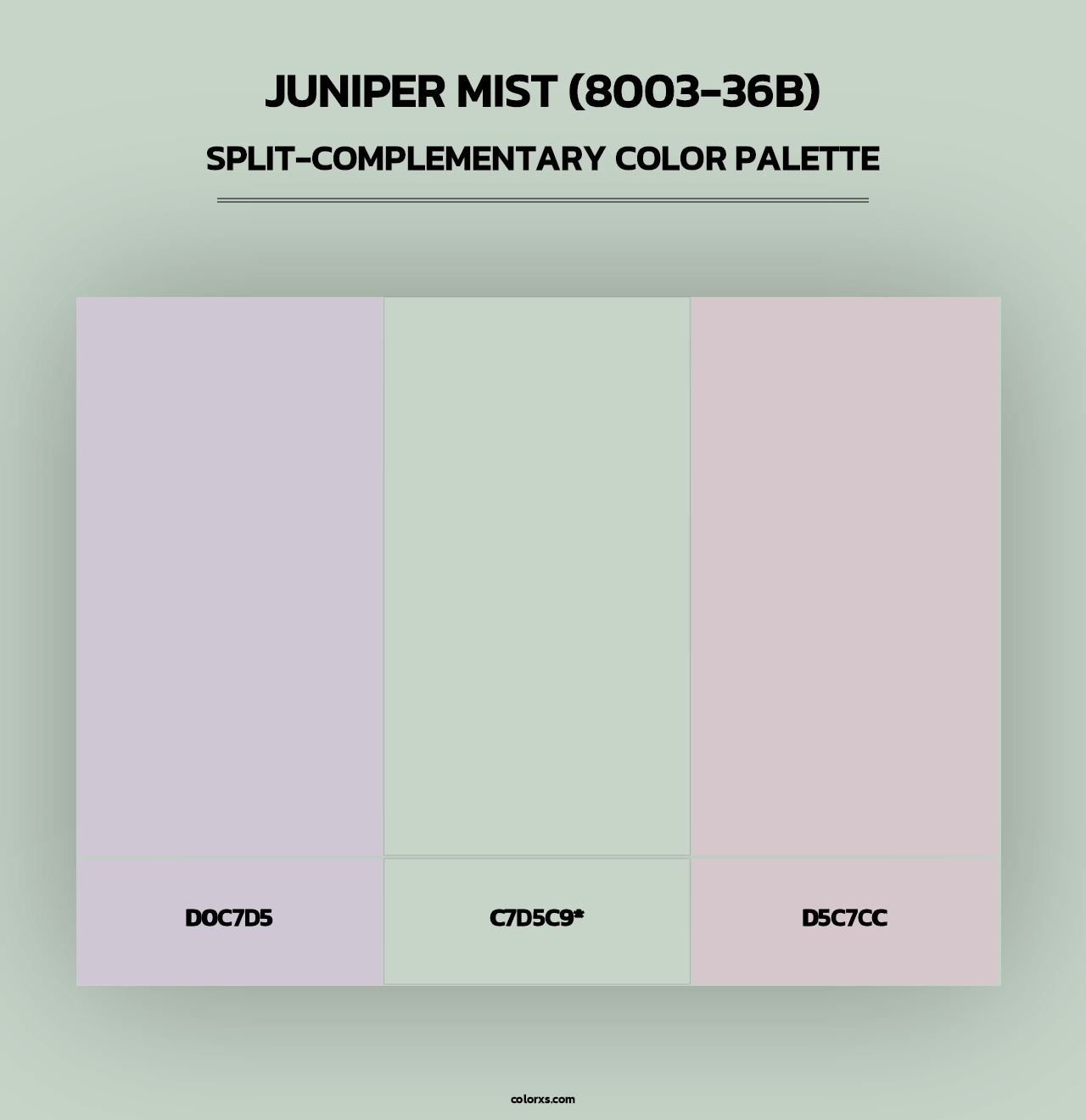 Juniper Mist (8003-36B) - Split-Complementary Color Palette