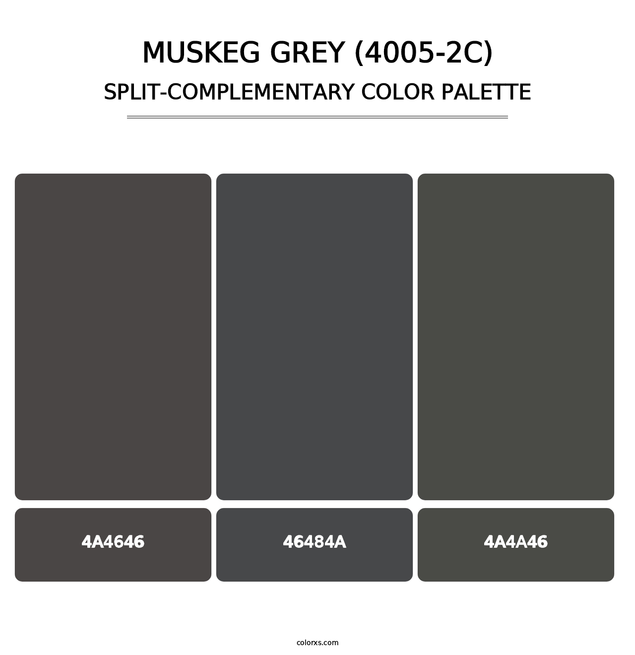 Muskeg Grey (4005-2C) - Split-Complementary Color Palette