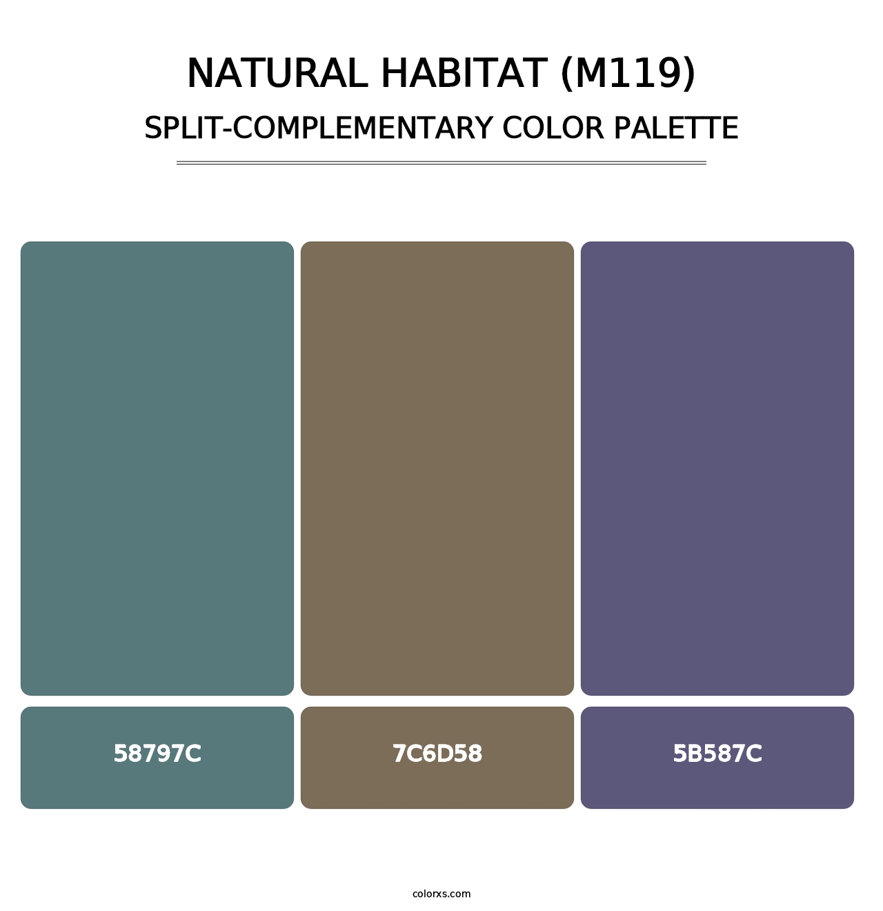 Natural Habitat (M119) - Split-Complementary Color Palette