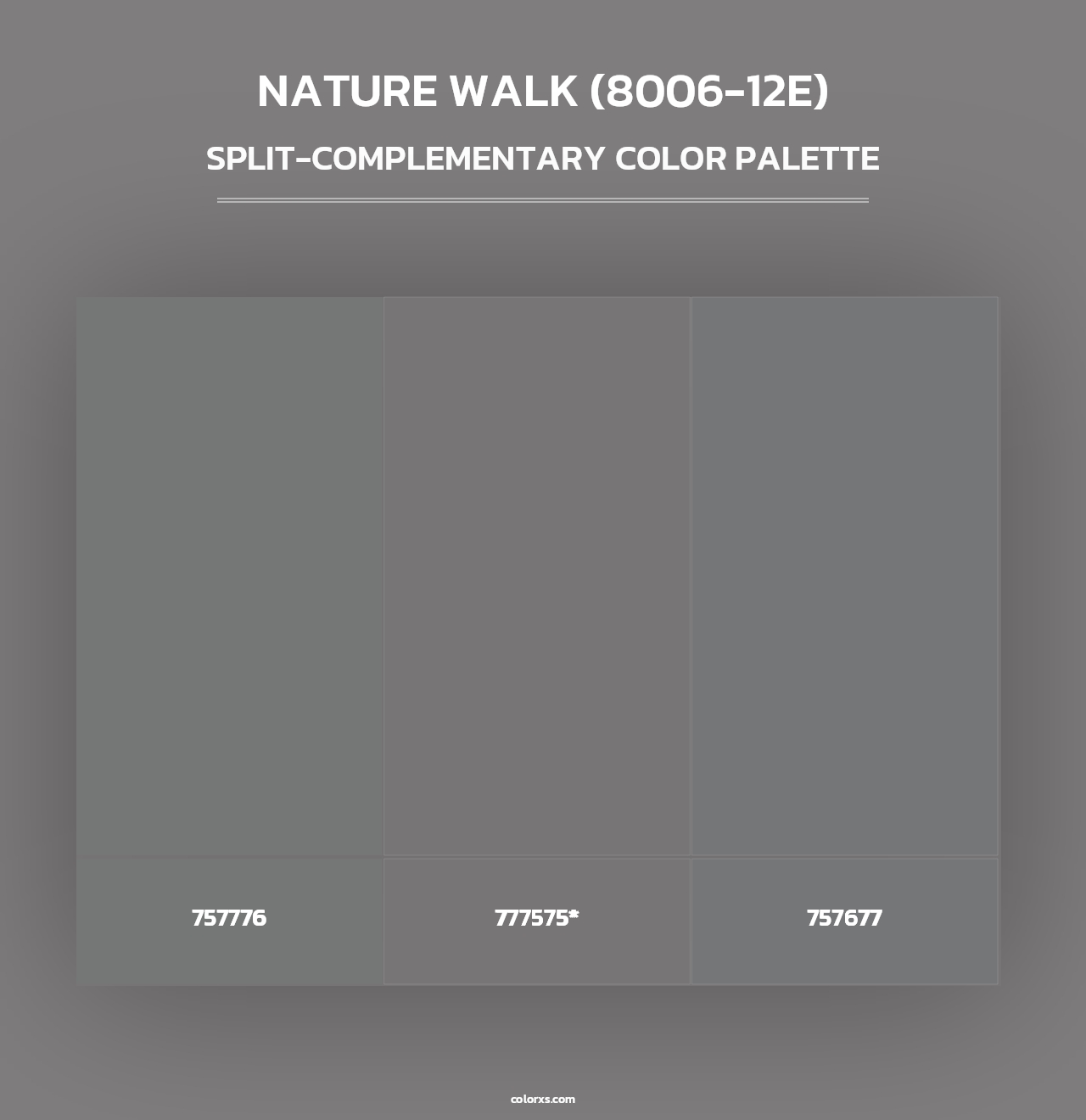 Nature Walk (8006-12E) - Split-Complementary Color Palette