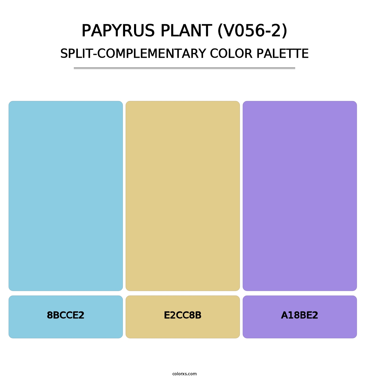 Papyrus Plant (V056-2) - Split-Complementary Color Palette