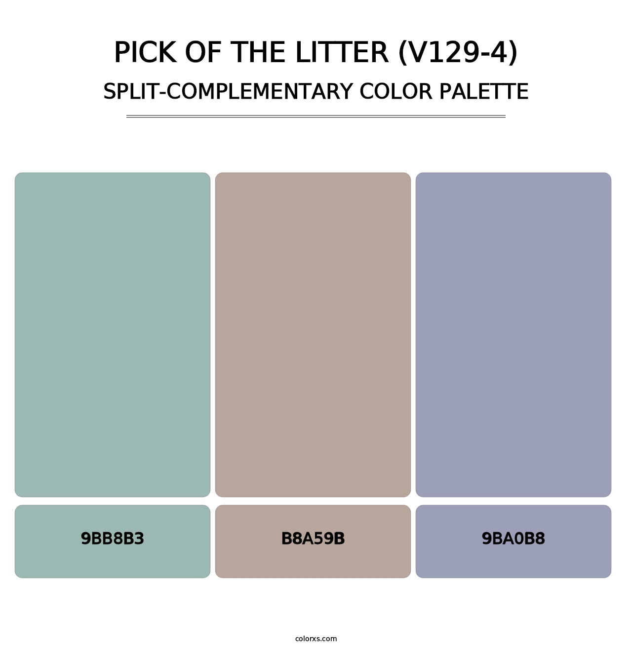 Pick of the Litter (V129-4) - Split-Complementary Color Palette