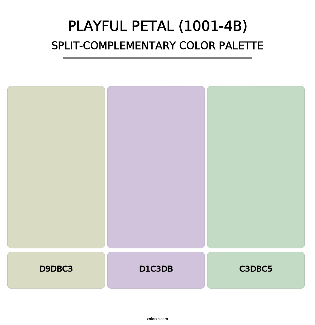 Playful Petal (1001-4B) - Split-Complementary Color Palette