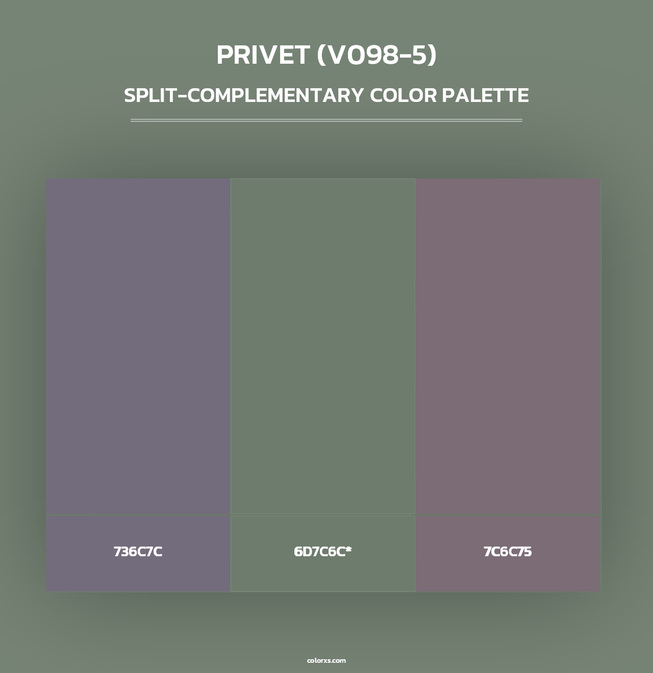 Privet (V098-5) - Split-Complementary Color Palette