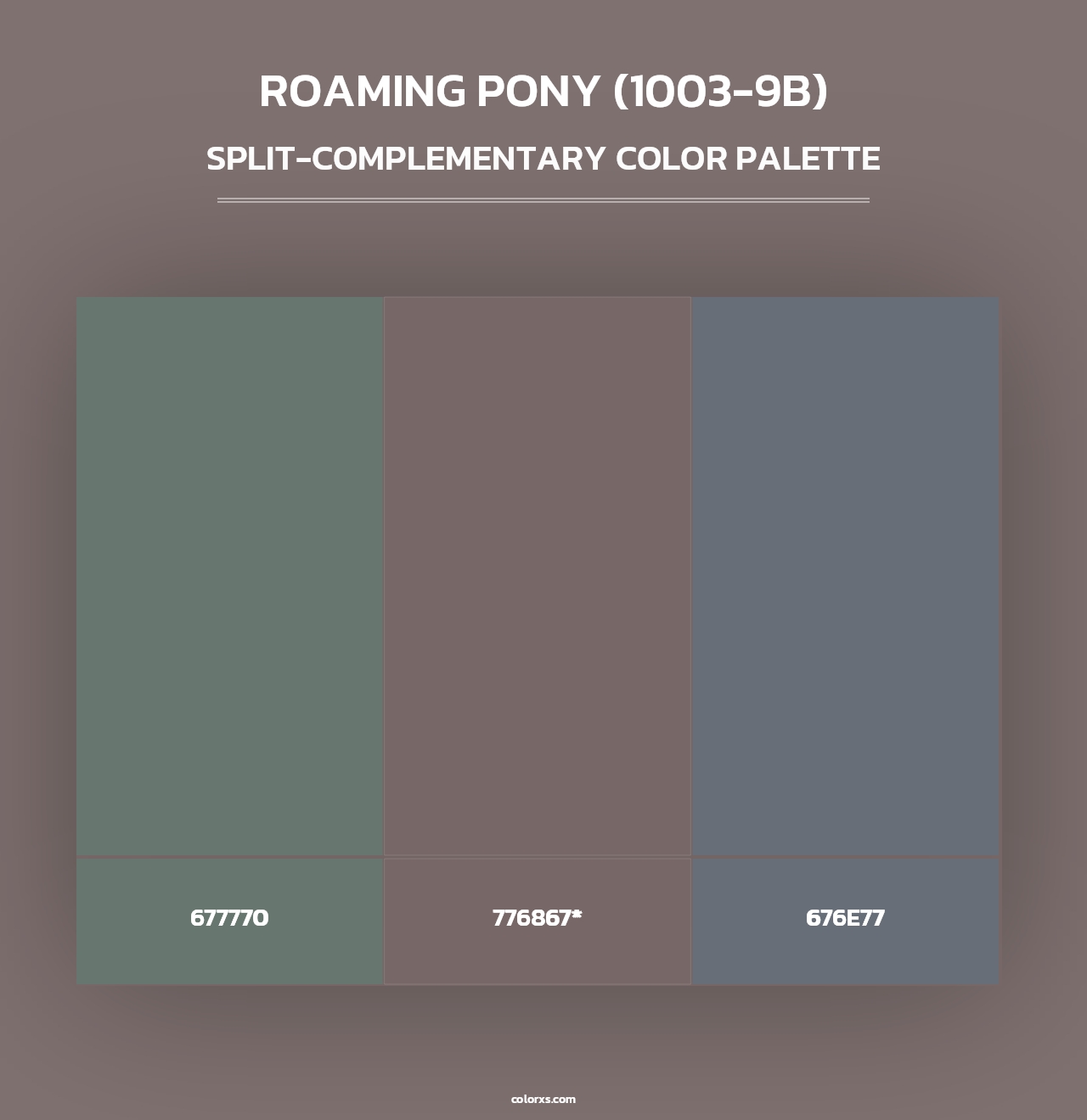 Roaming Pony (1003-9B) - Split-Complementary Color Palette