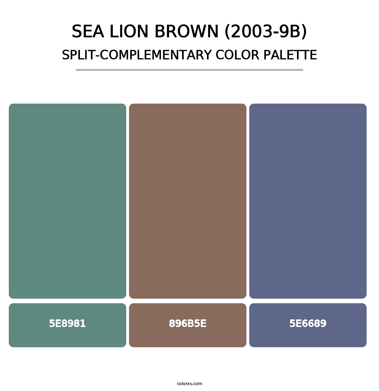 Sea Lion Brown (2003-9B) - Split-Complementary Color Palette