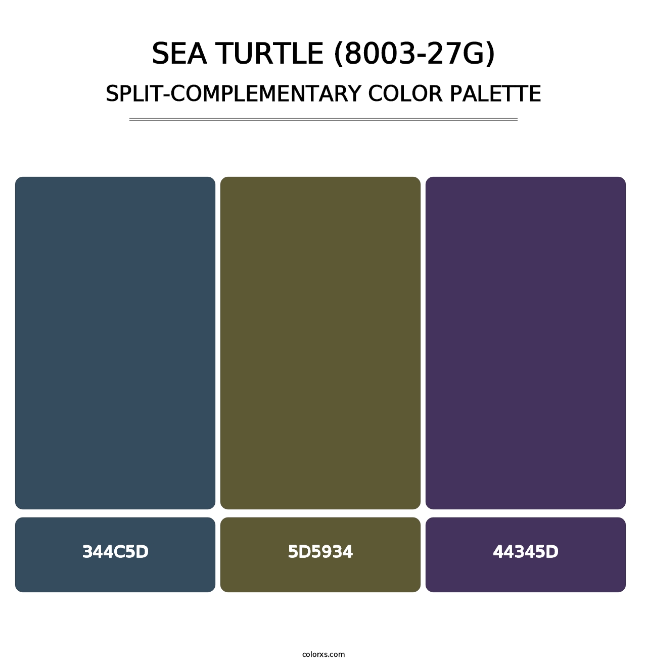 Sea Turtle (8003-27G) - Split-Complementary Color Palette