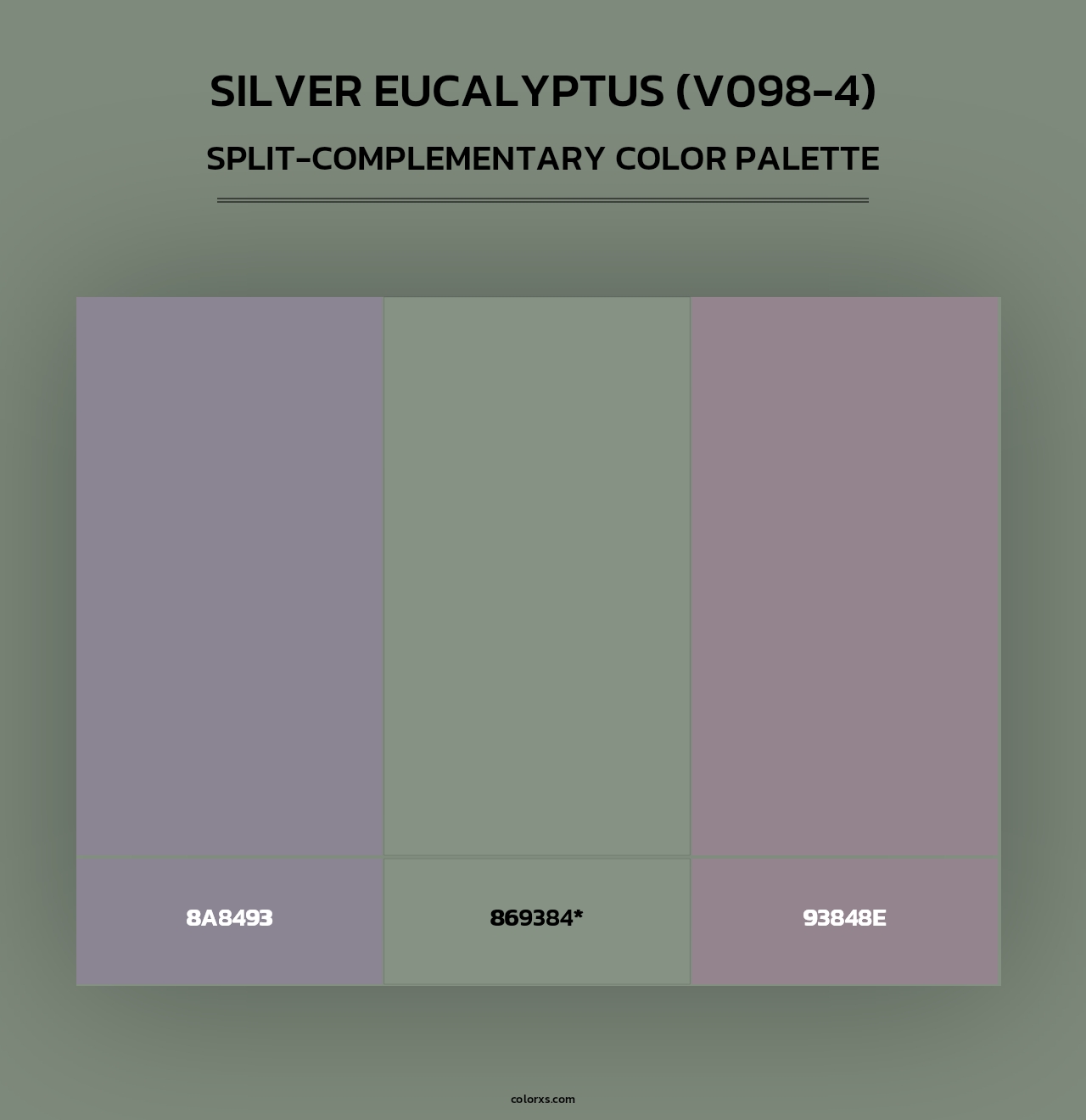 Silver Eucalyptus (V098-4) - Split-Complementary Color Palette