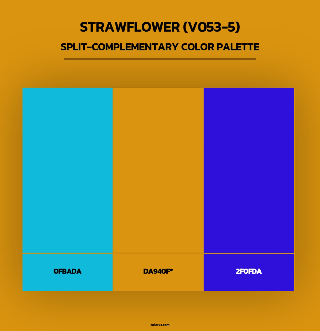 Strawflower (V053-5) - Split-Complementary Color Palette