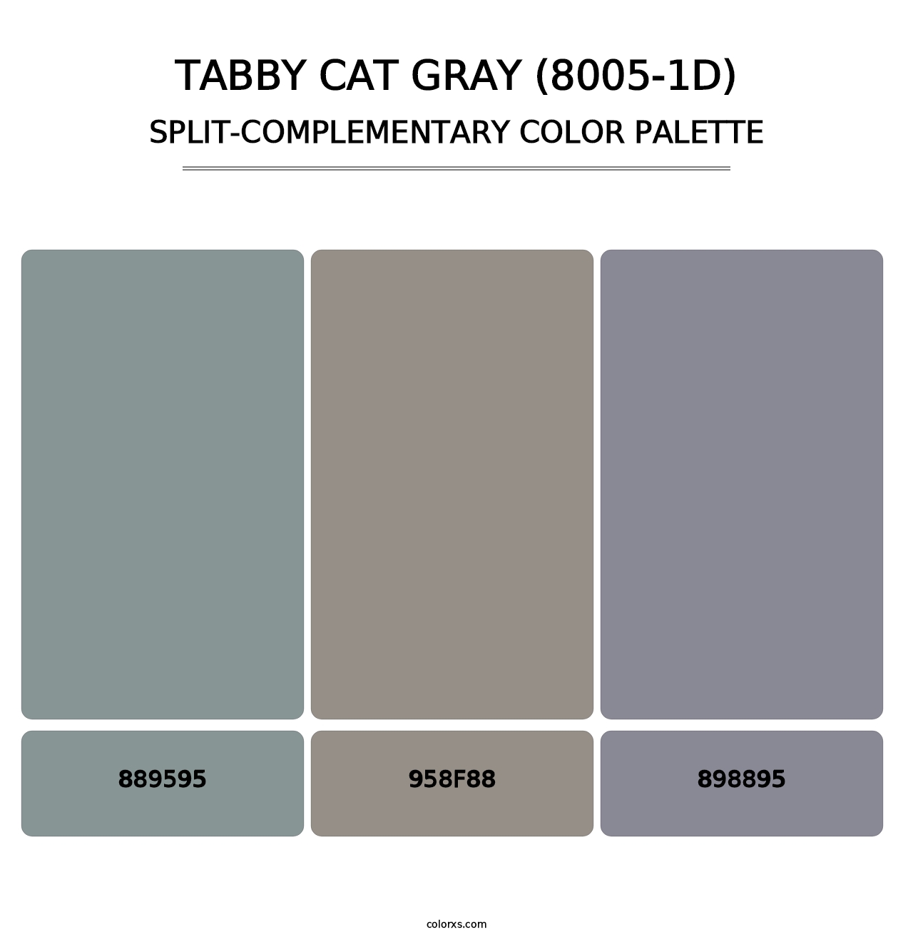Tabby Cat Gray (8005-1D) - Split-Complementary Color Palette