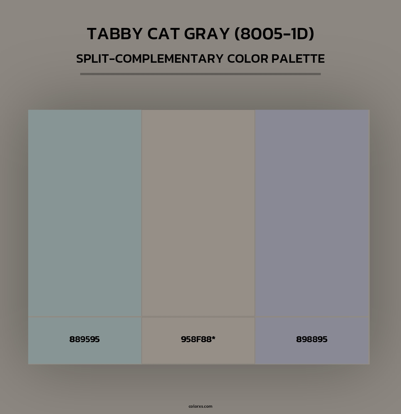 Tabby Cat Gray (8005-1D) - Split-Complementary Color Palette