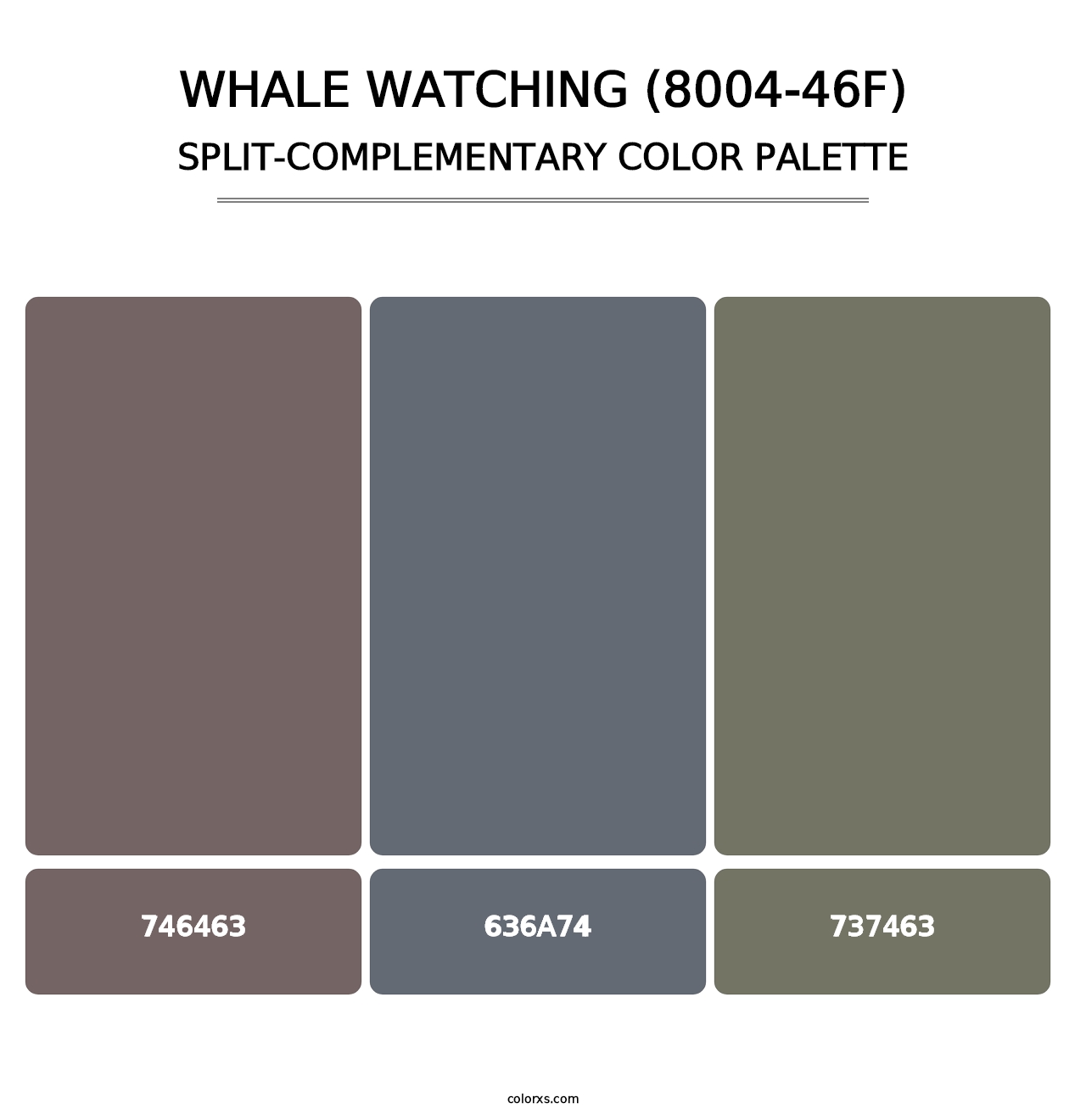 Whale Watching (8004-46F) - Split-Complementary Color Palette