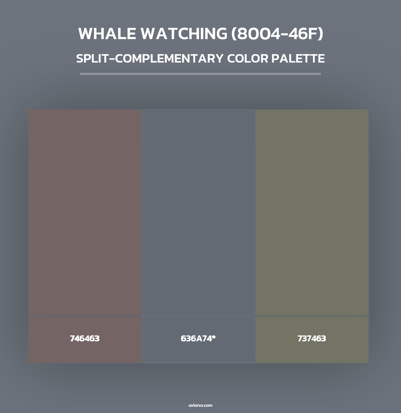 Whale Watching (8004-46F) - Split-Complementary Color Palette