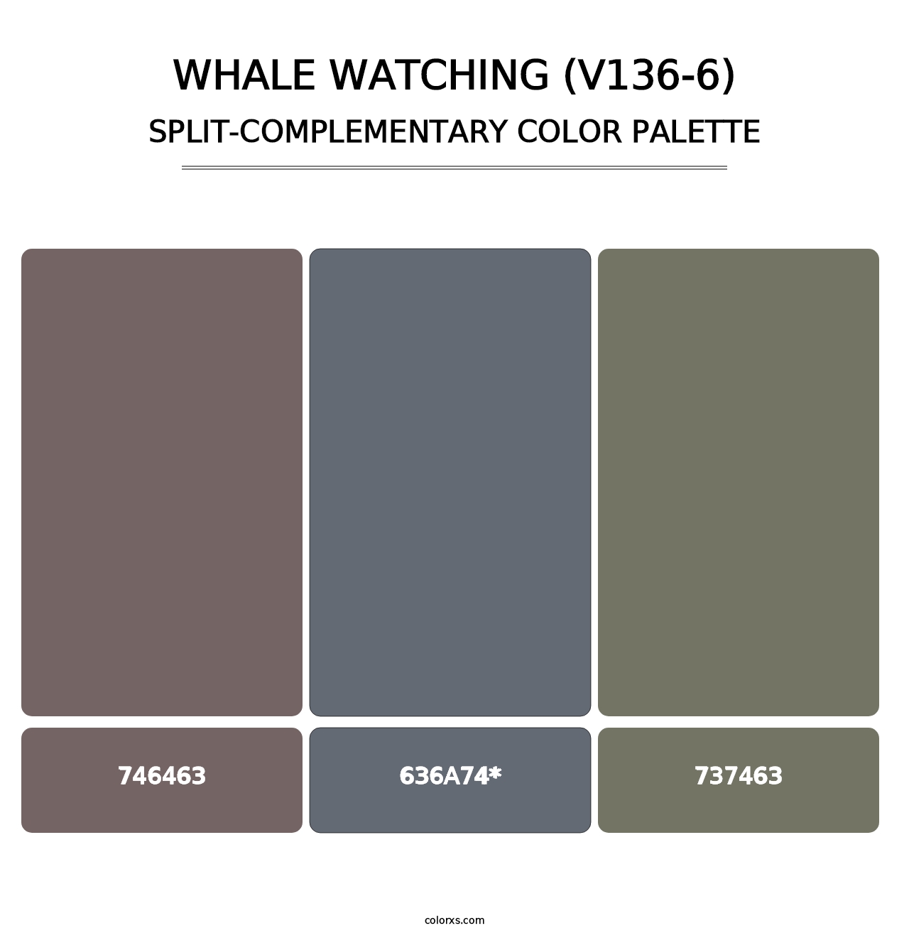Whale Watching (V136-6) - Split-Complementary Color Palette