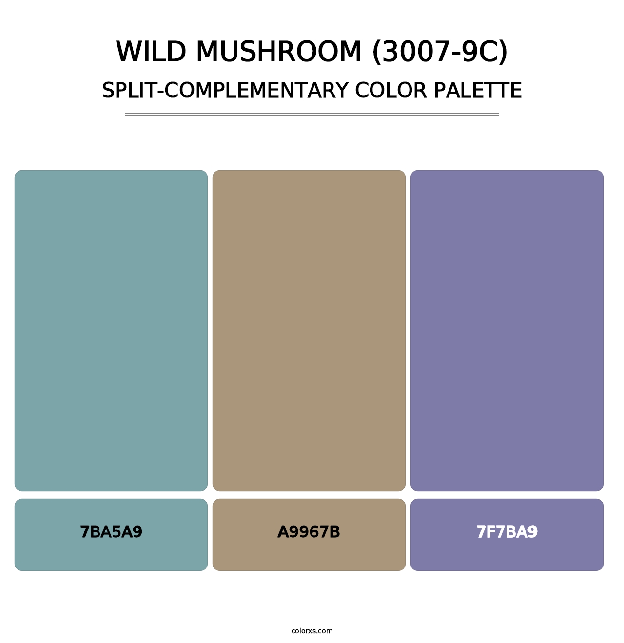 Wild Mushroom (3007-9C) - Split-Complementary Color Palette