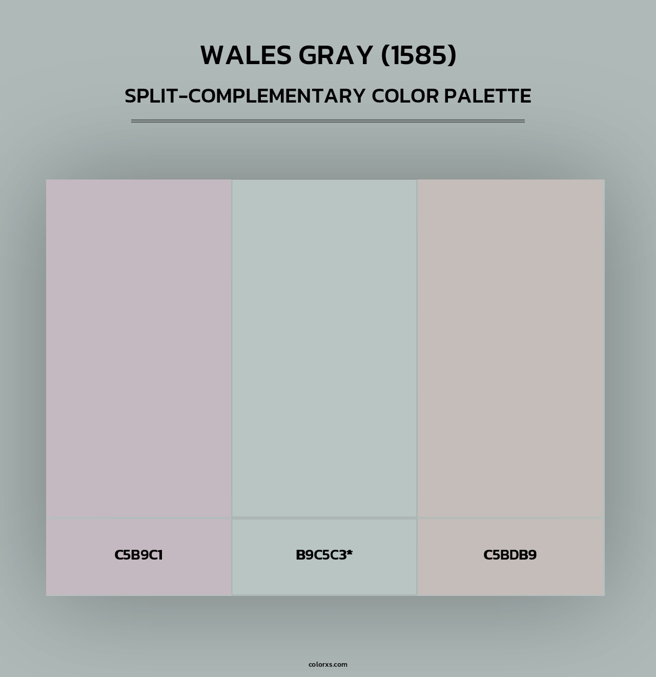 Wales Gray (1585) - Split-Complementary Color Palette