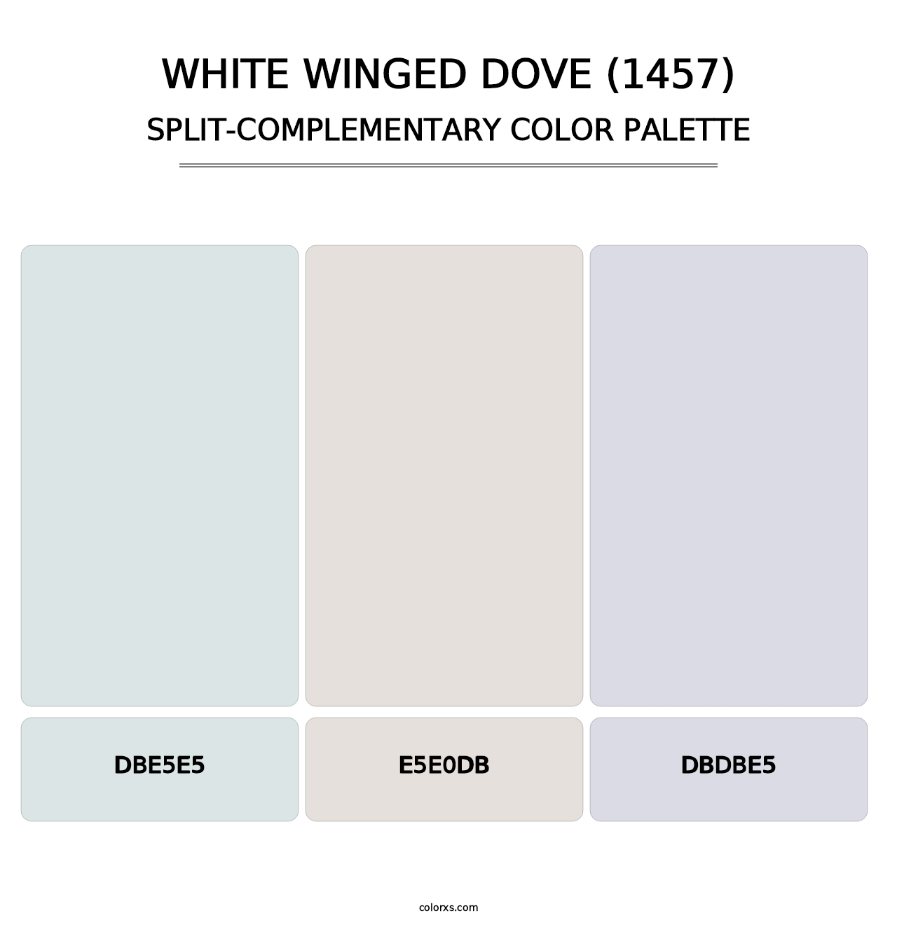 White Winged Dove (1457) - Split-Complementary Color Palette