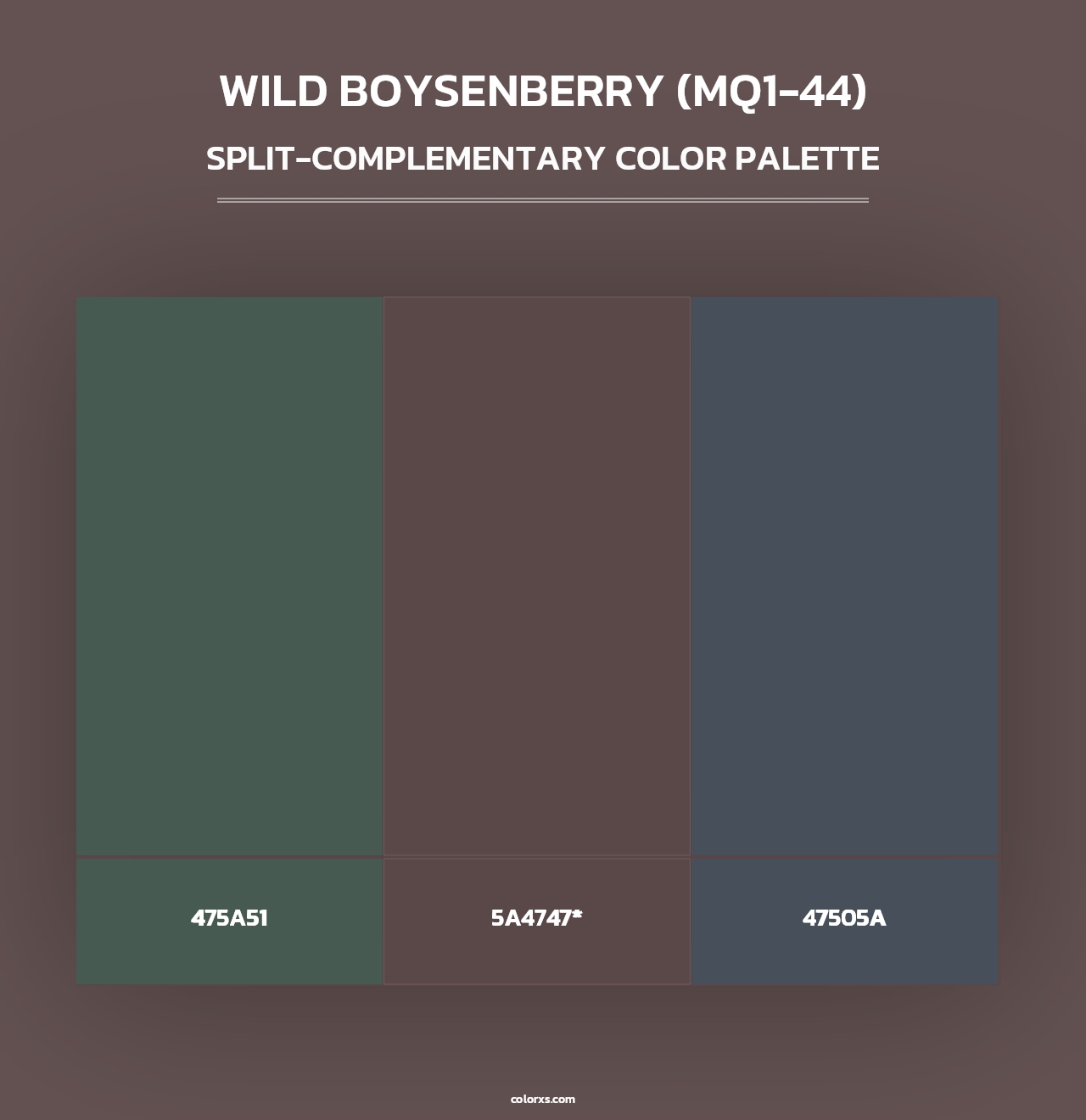 Wild Boysenberry (MQ1-44) - Split-Complementary Color Palette